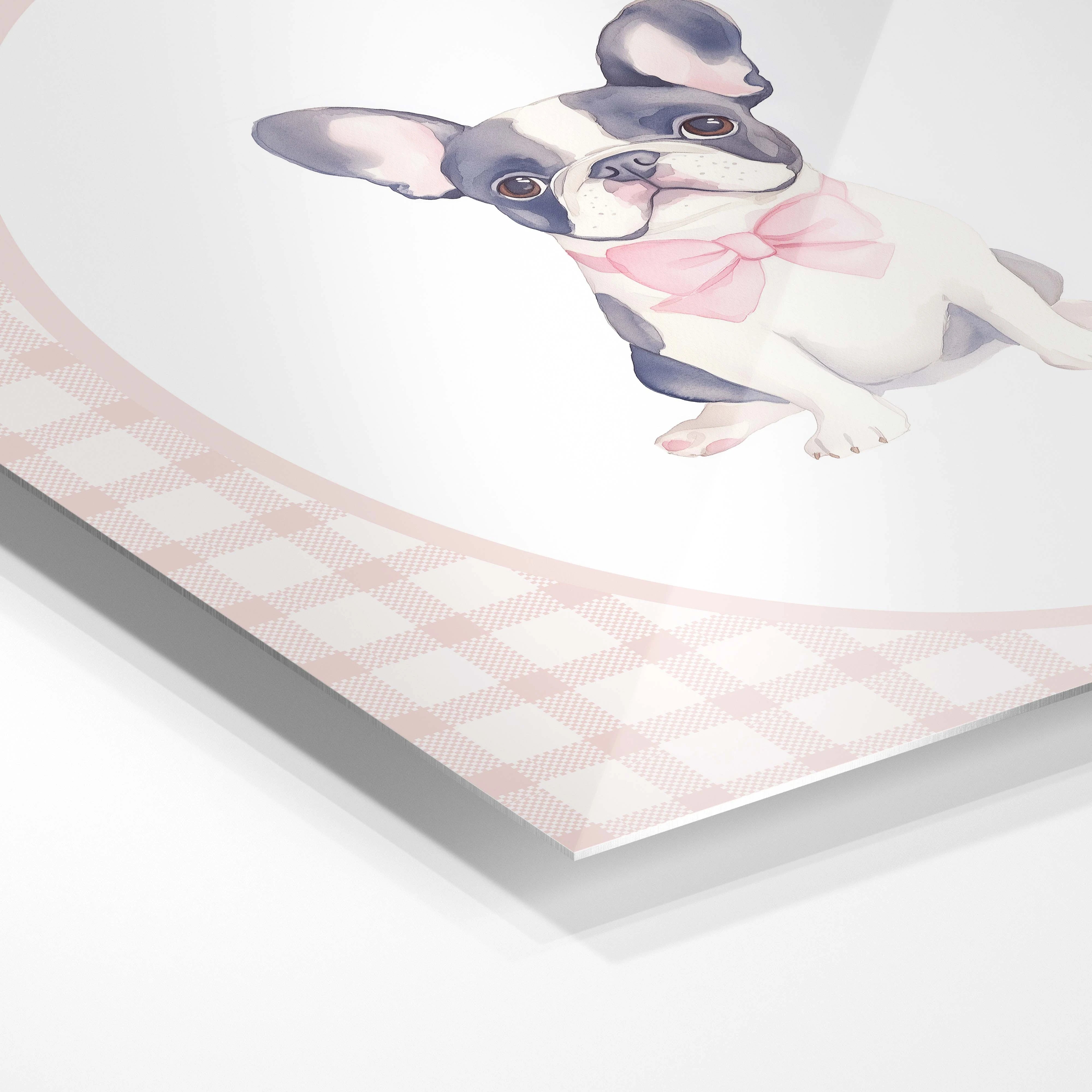 Fin French Bulldog