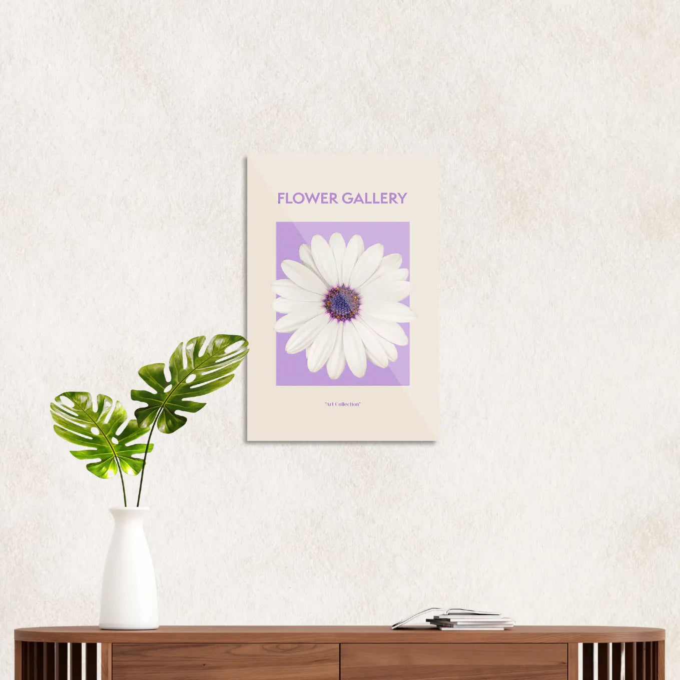 Hvid spansk marguerit