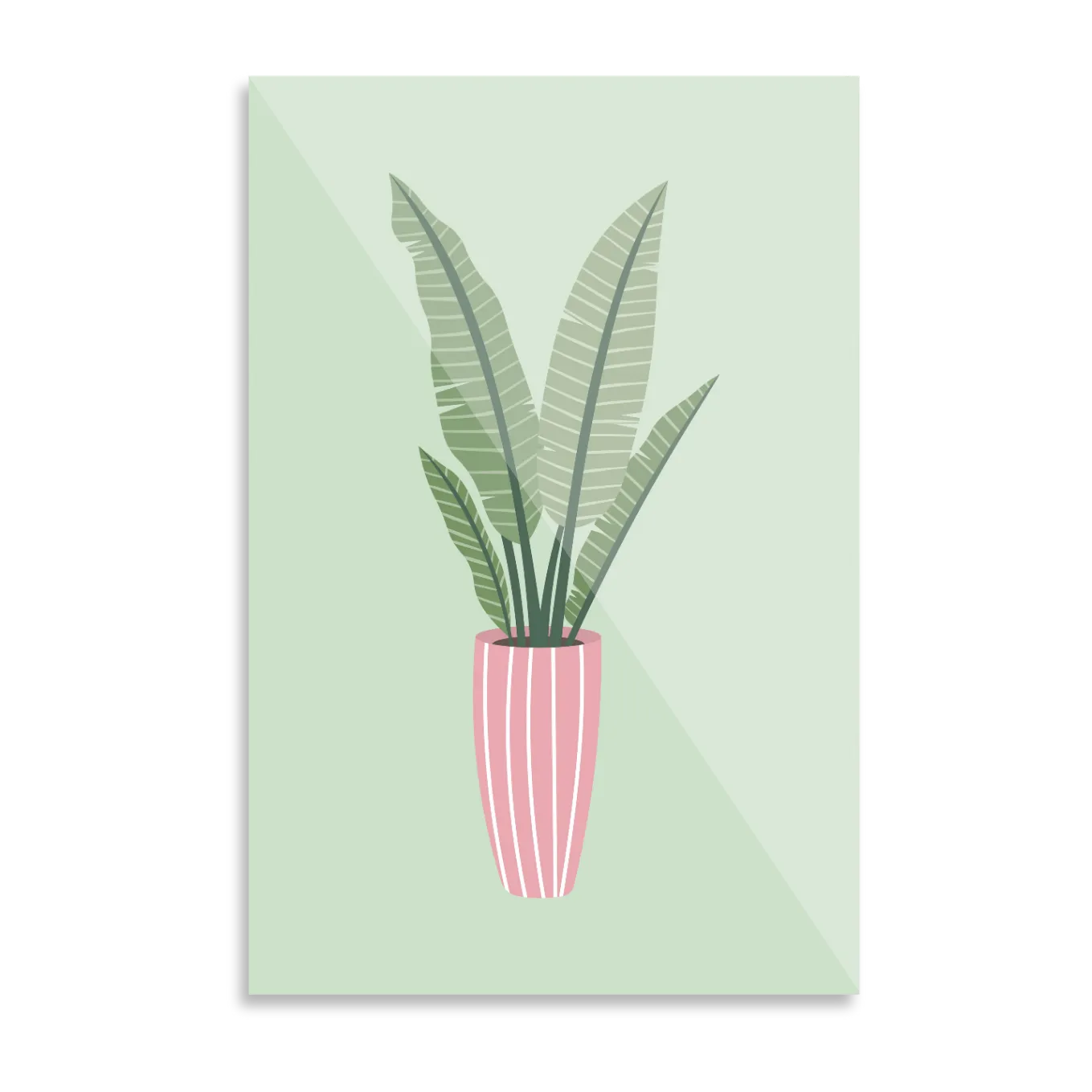Plante i vase
