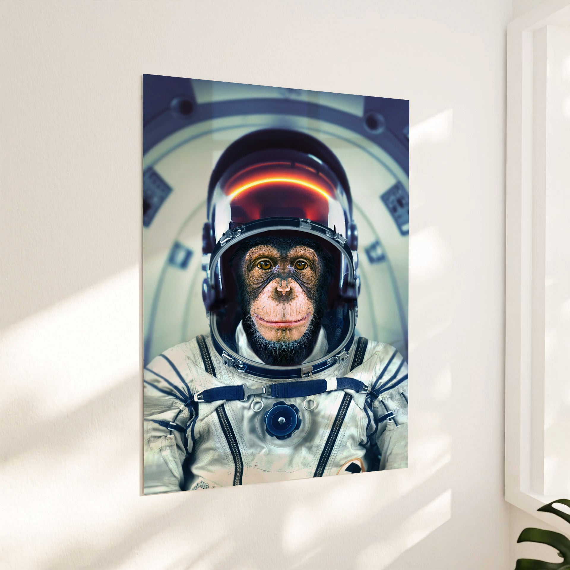 Astronaut abe