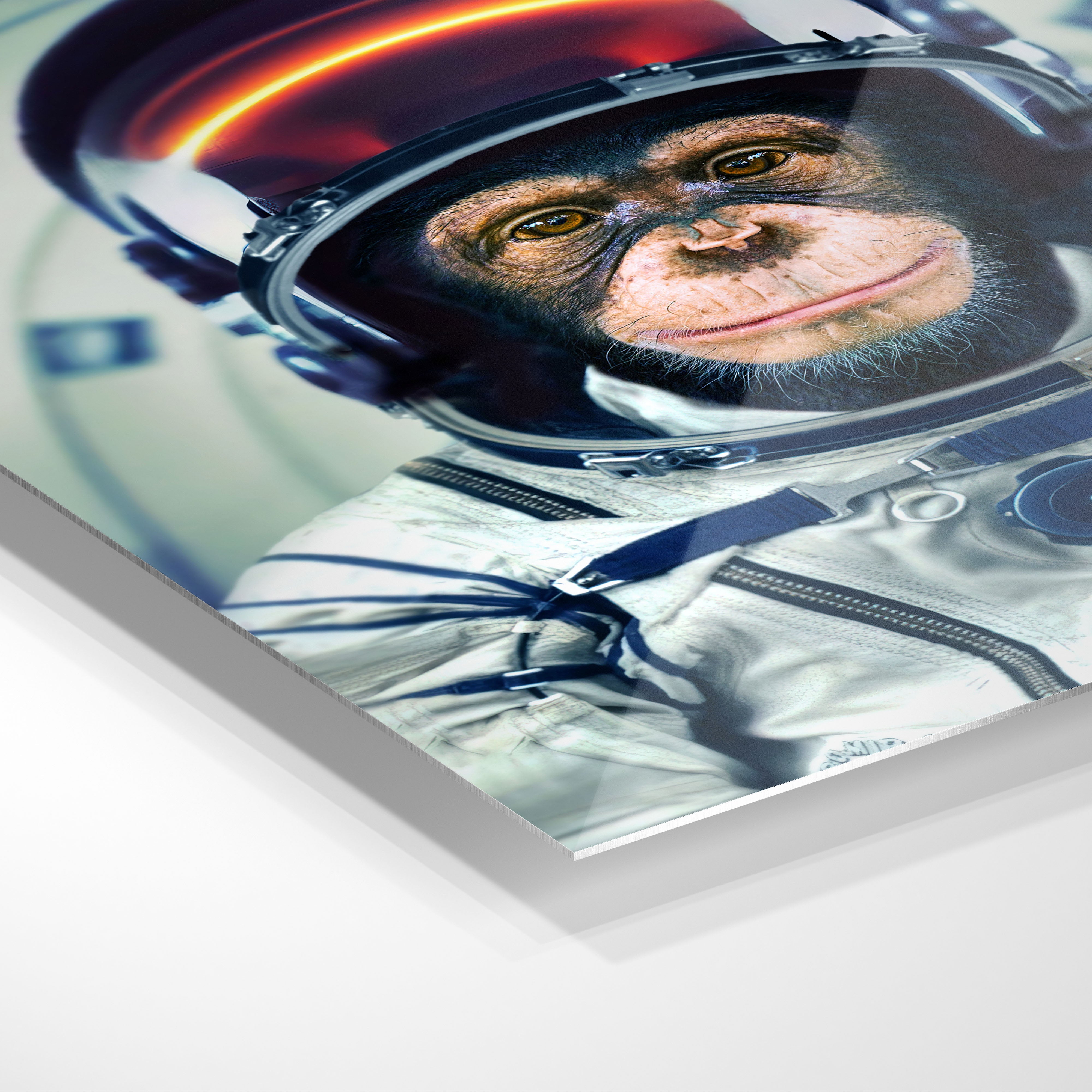 Astronaut abe