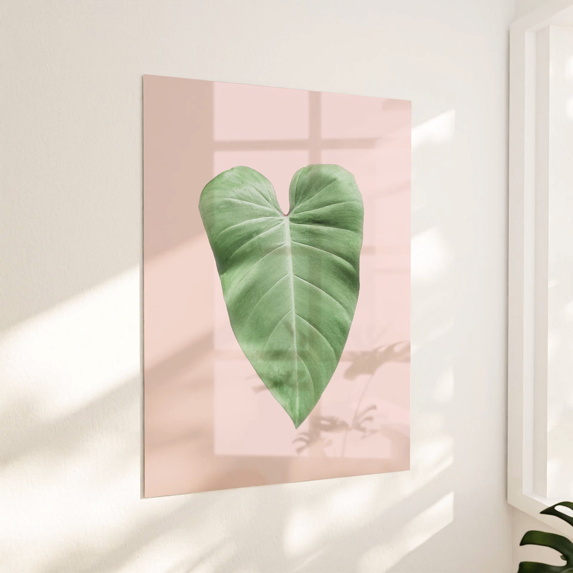 Filodendron blad