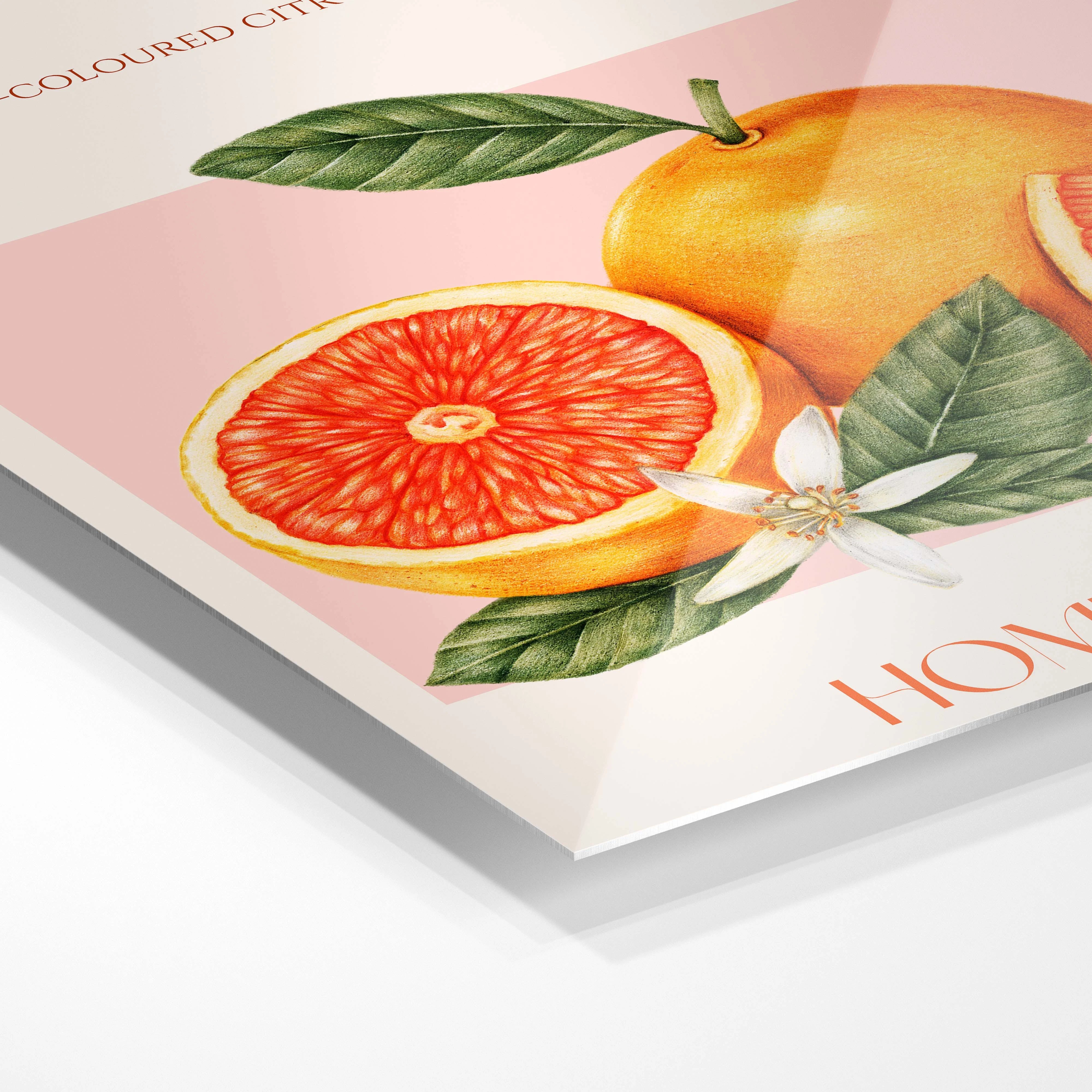 Orange Est. 1949