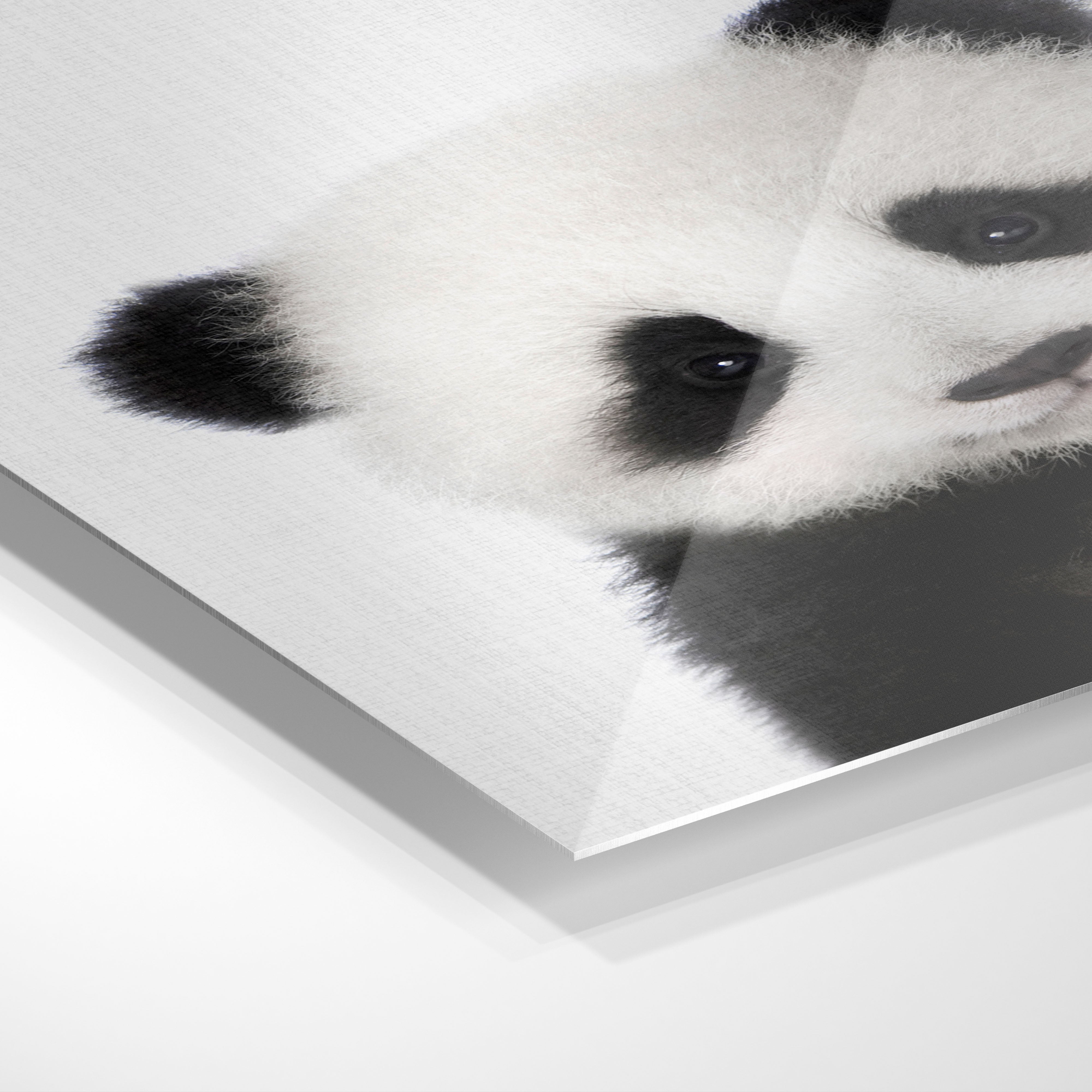 Lille panda