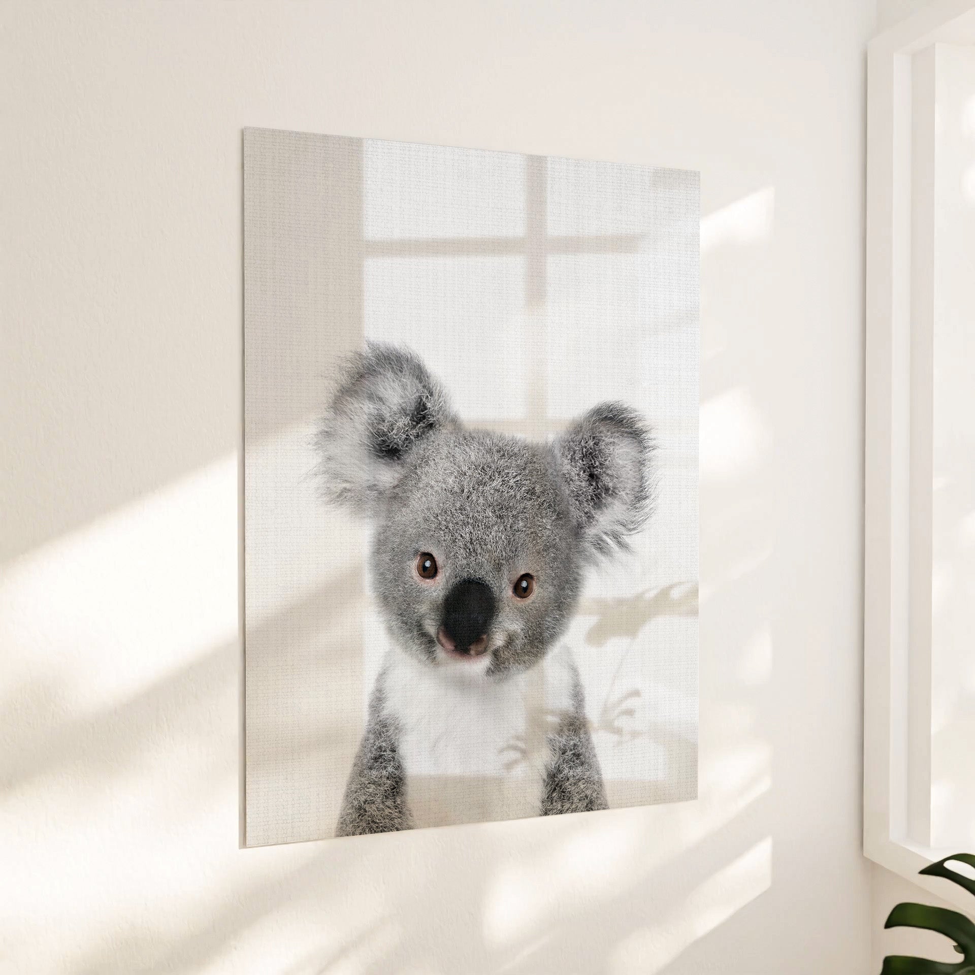 Sød koala
