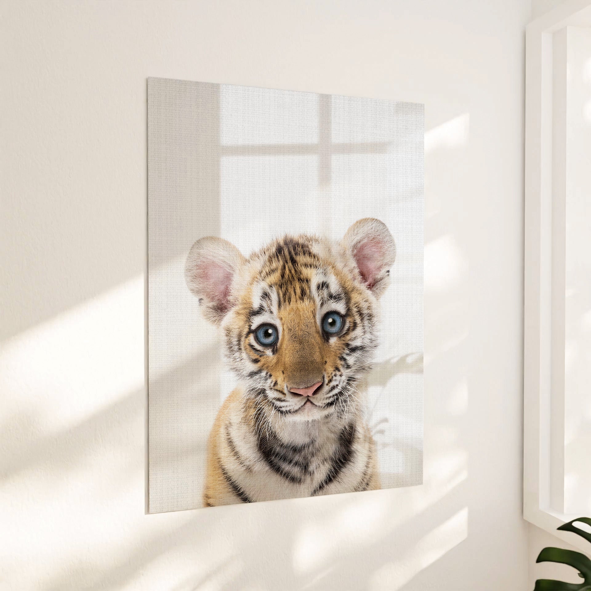 Lille tigerunge