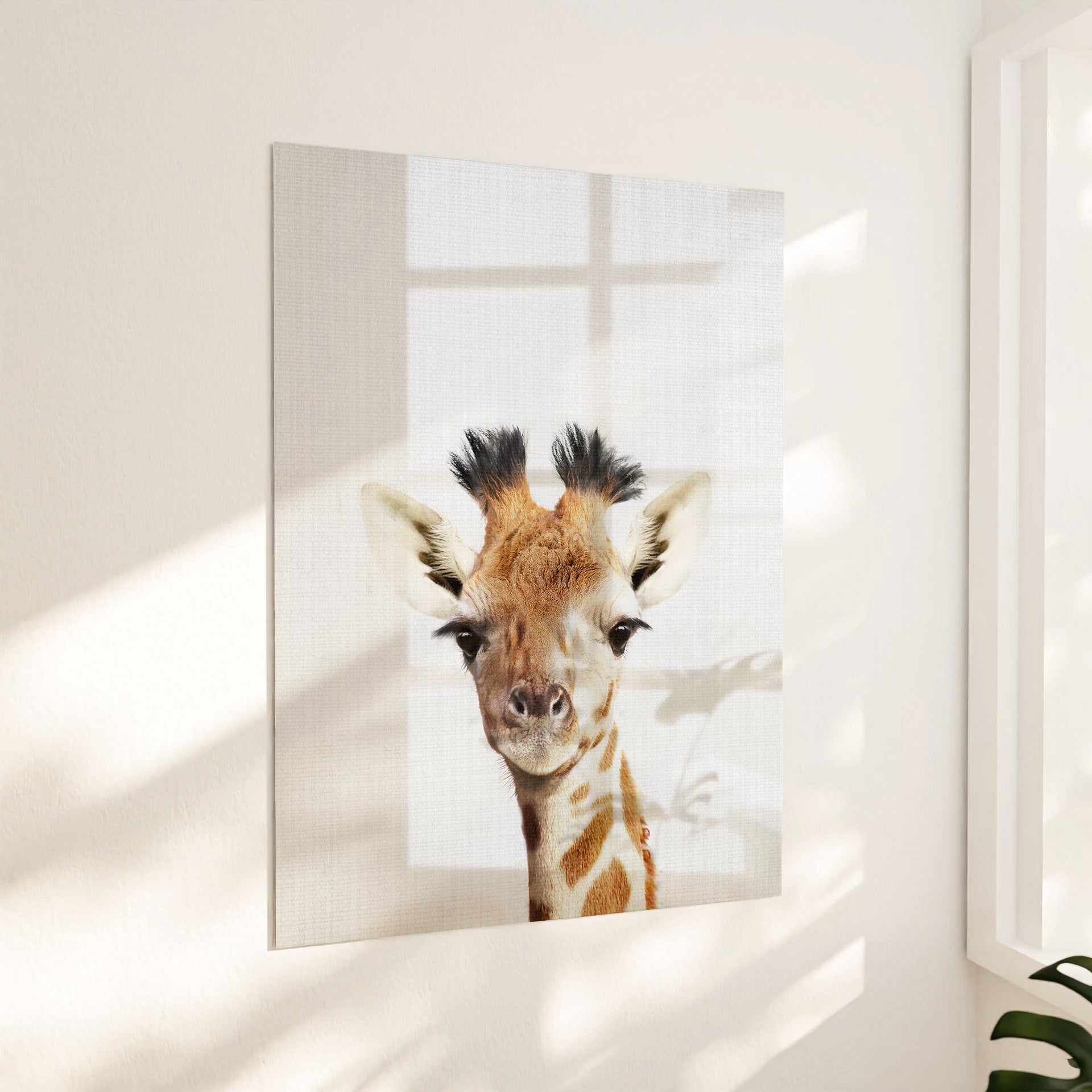 Sød girafunge