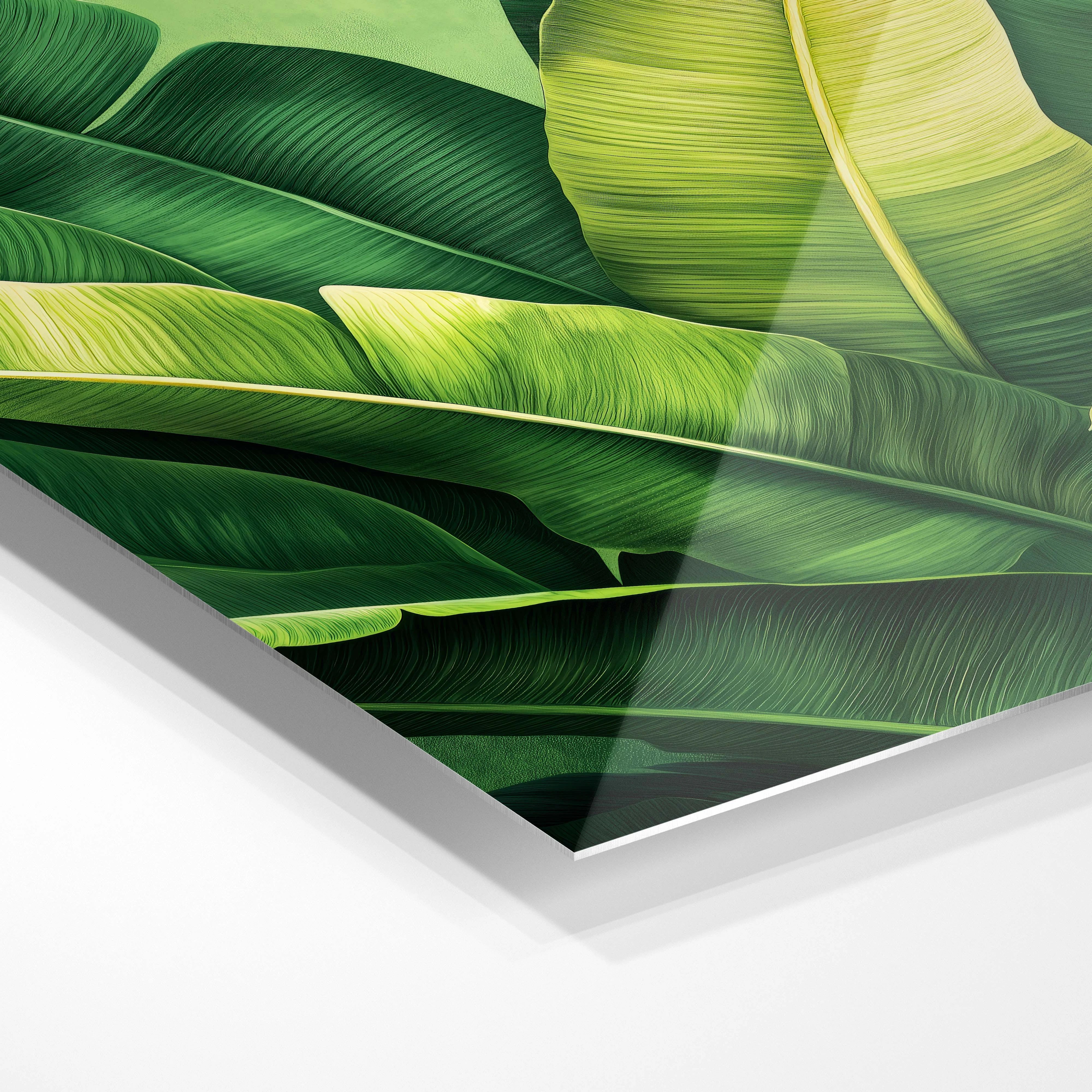 Tropical leaves