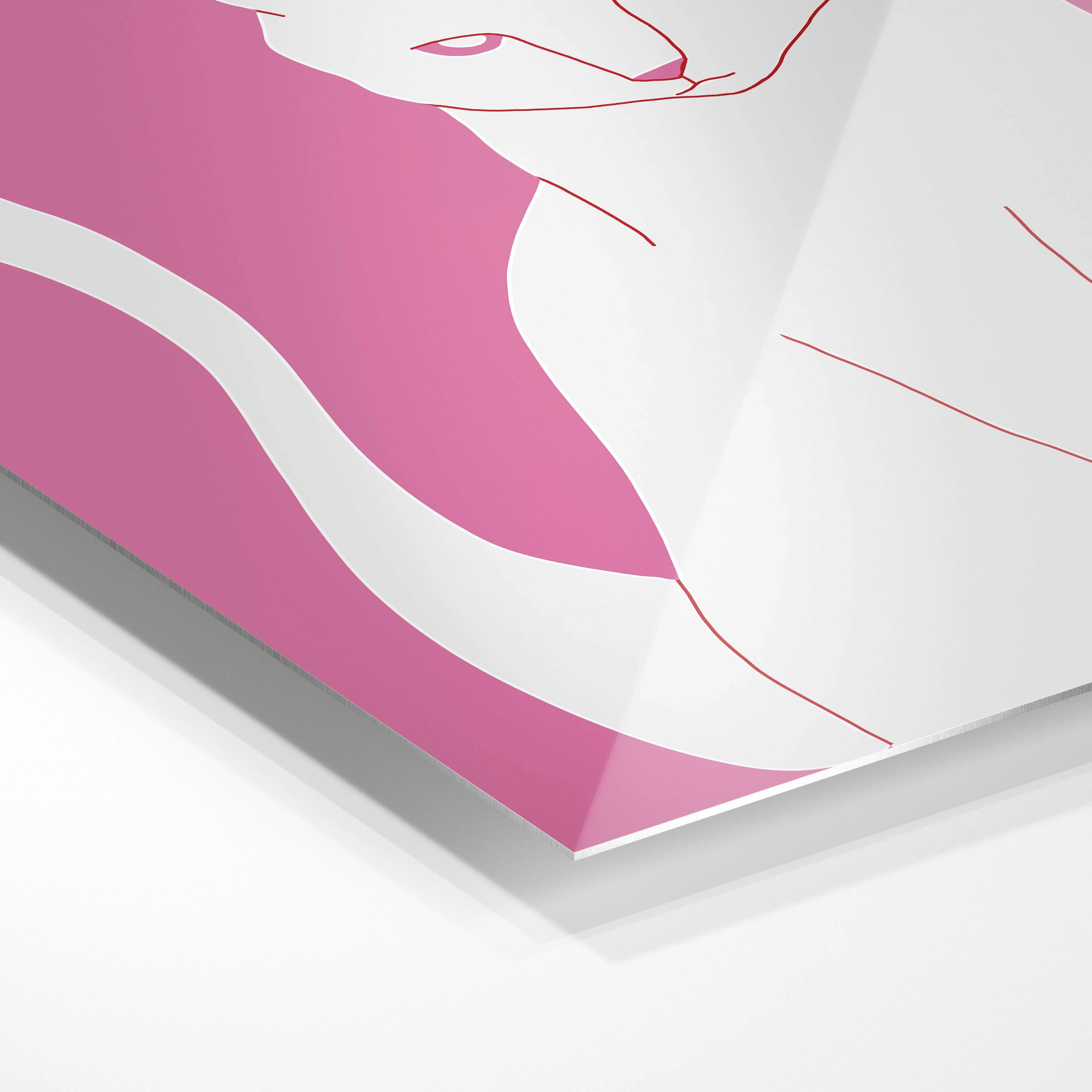 White and pink cat