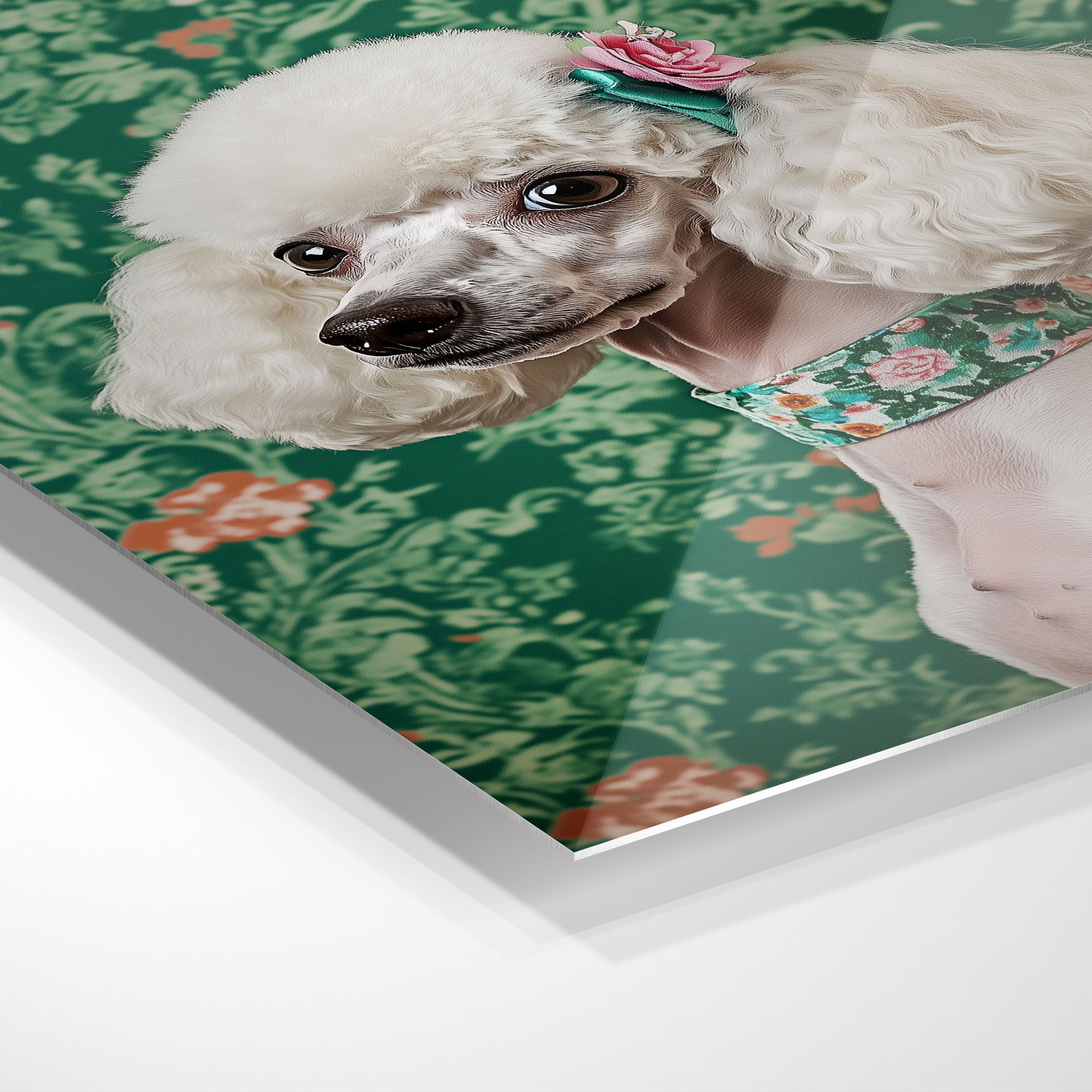 Lady Poodle