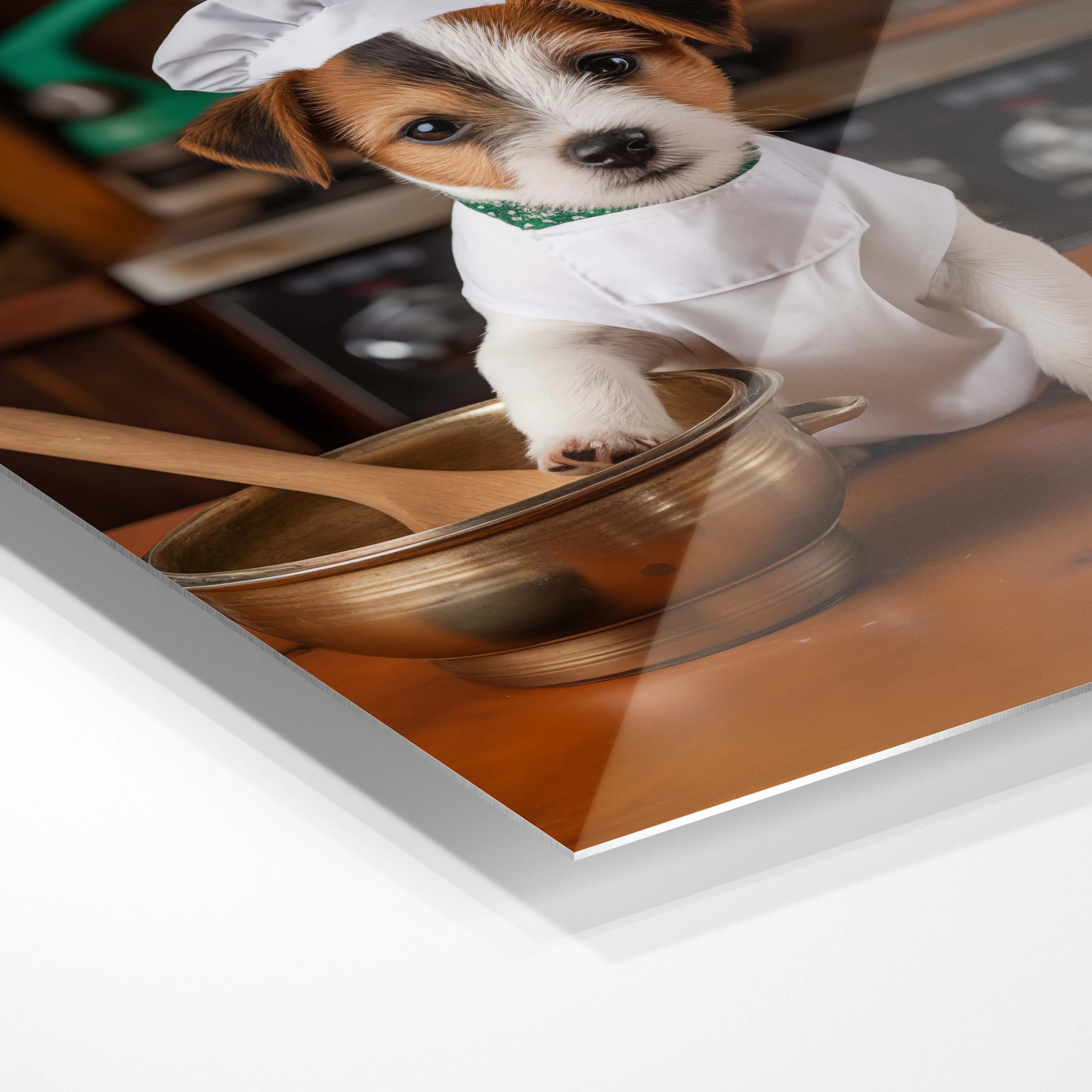 Jack Russell Chef