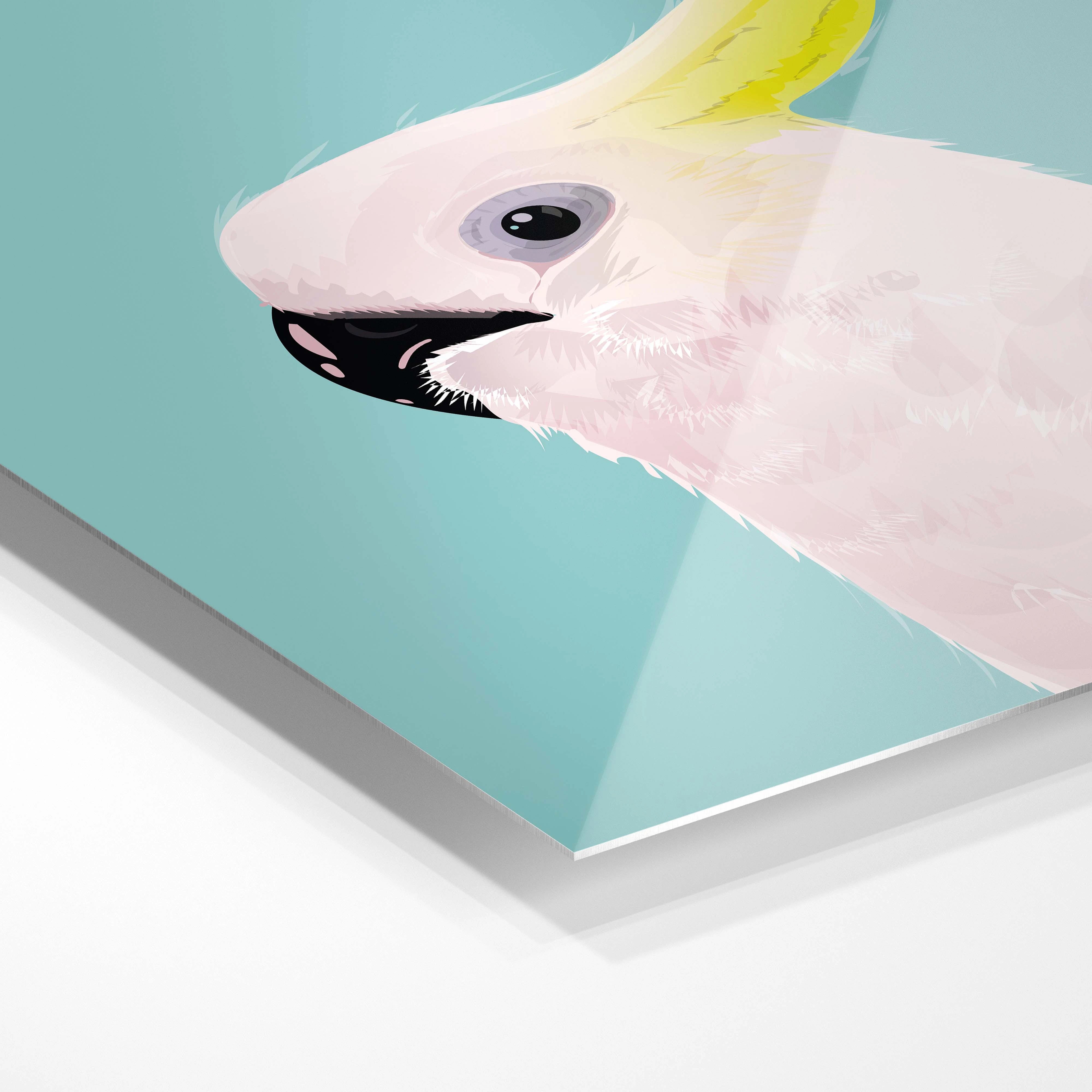 Cockatoo