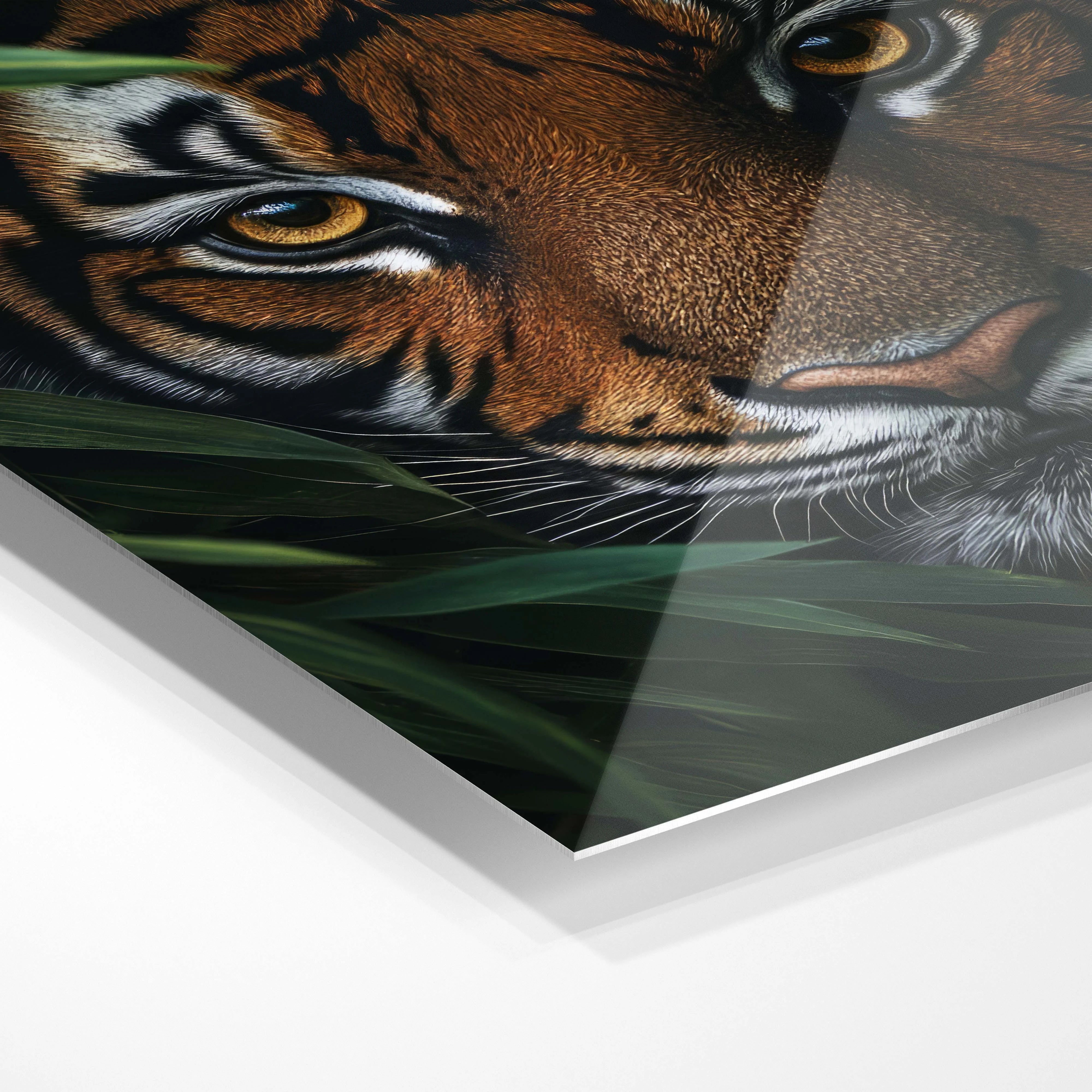 Wild tiger