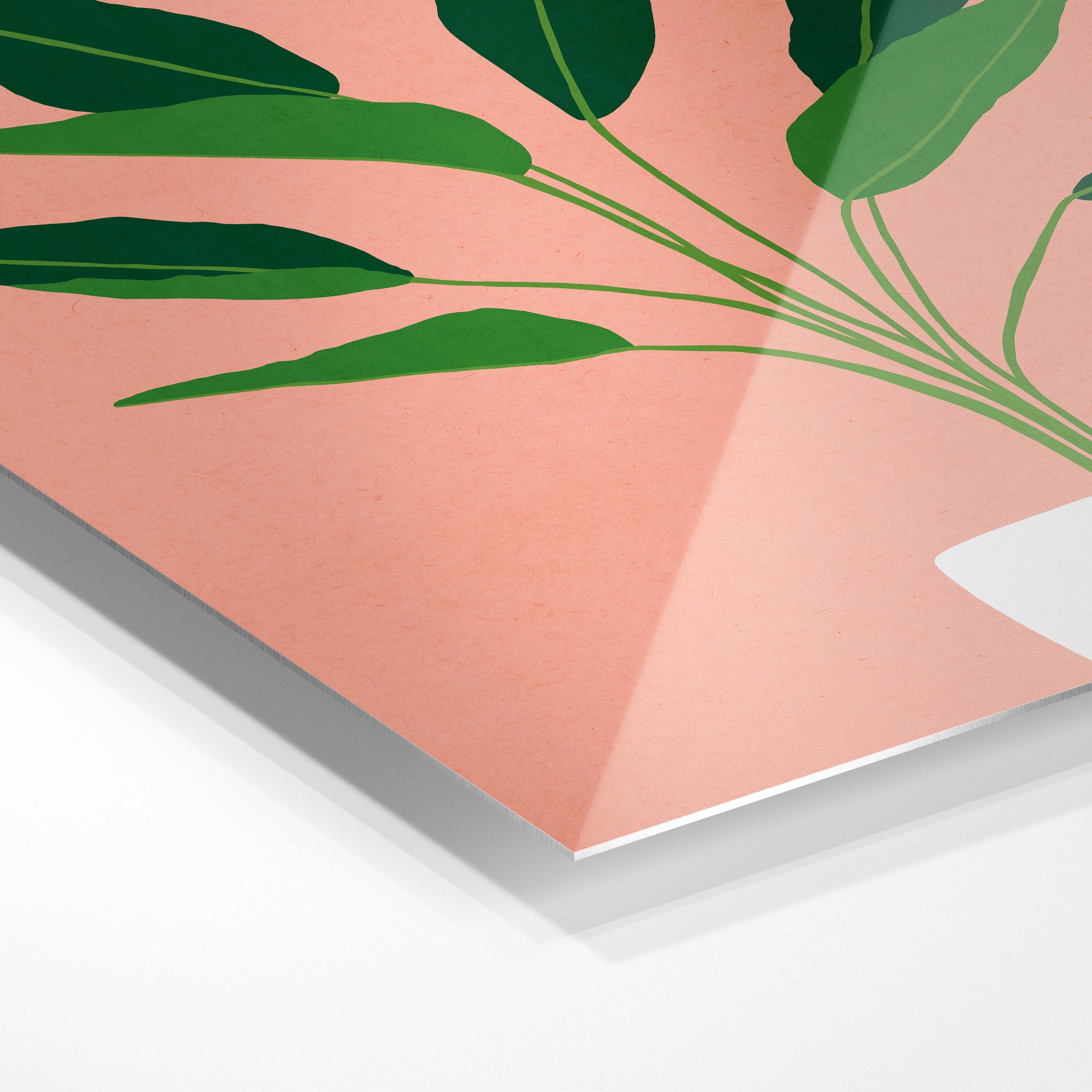 Plante