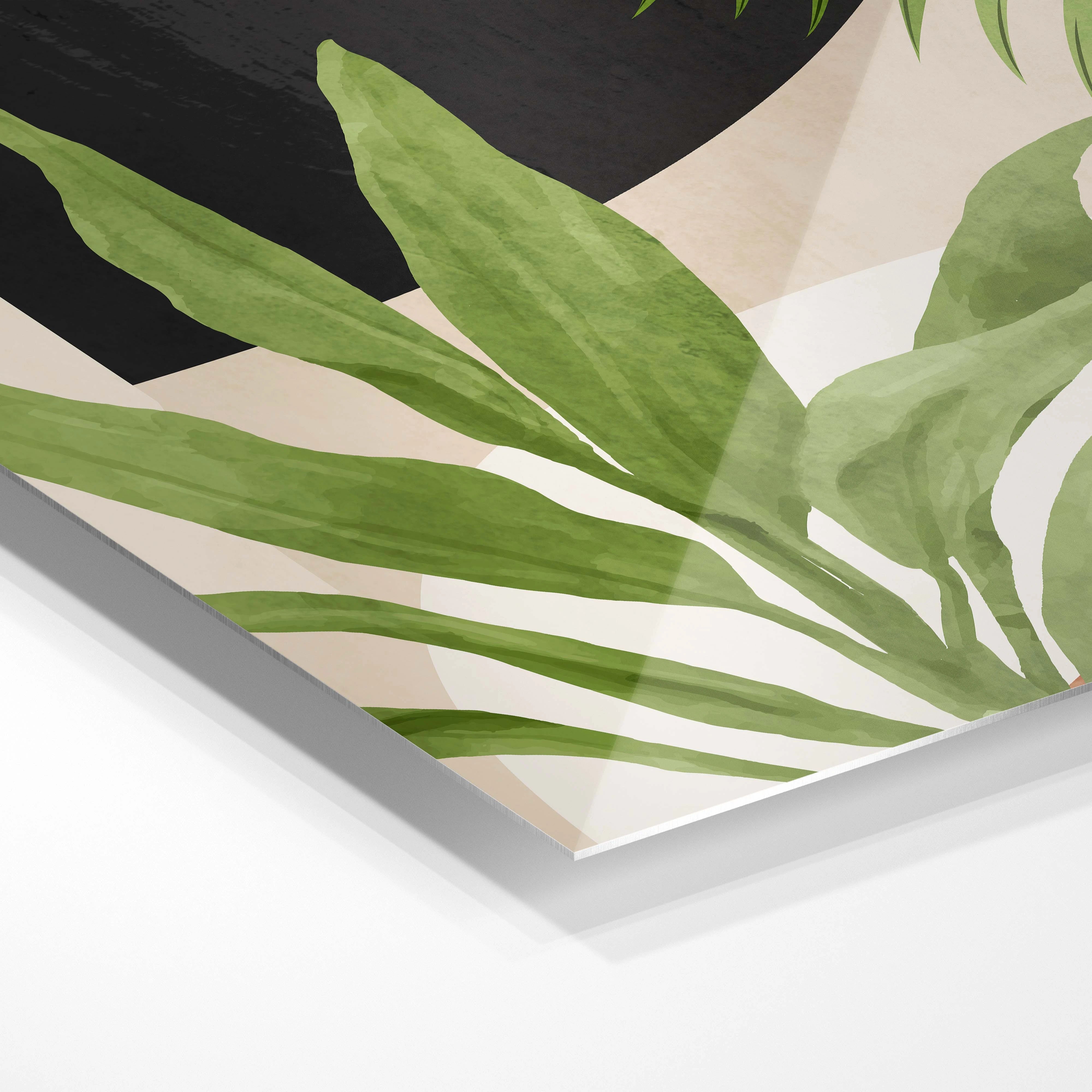 Tropical leaf