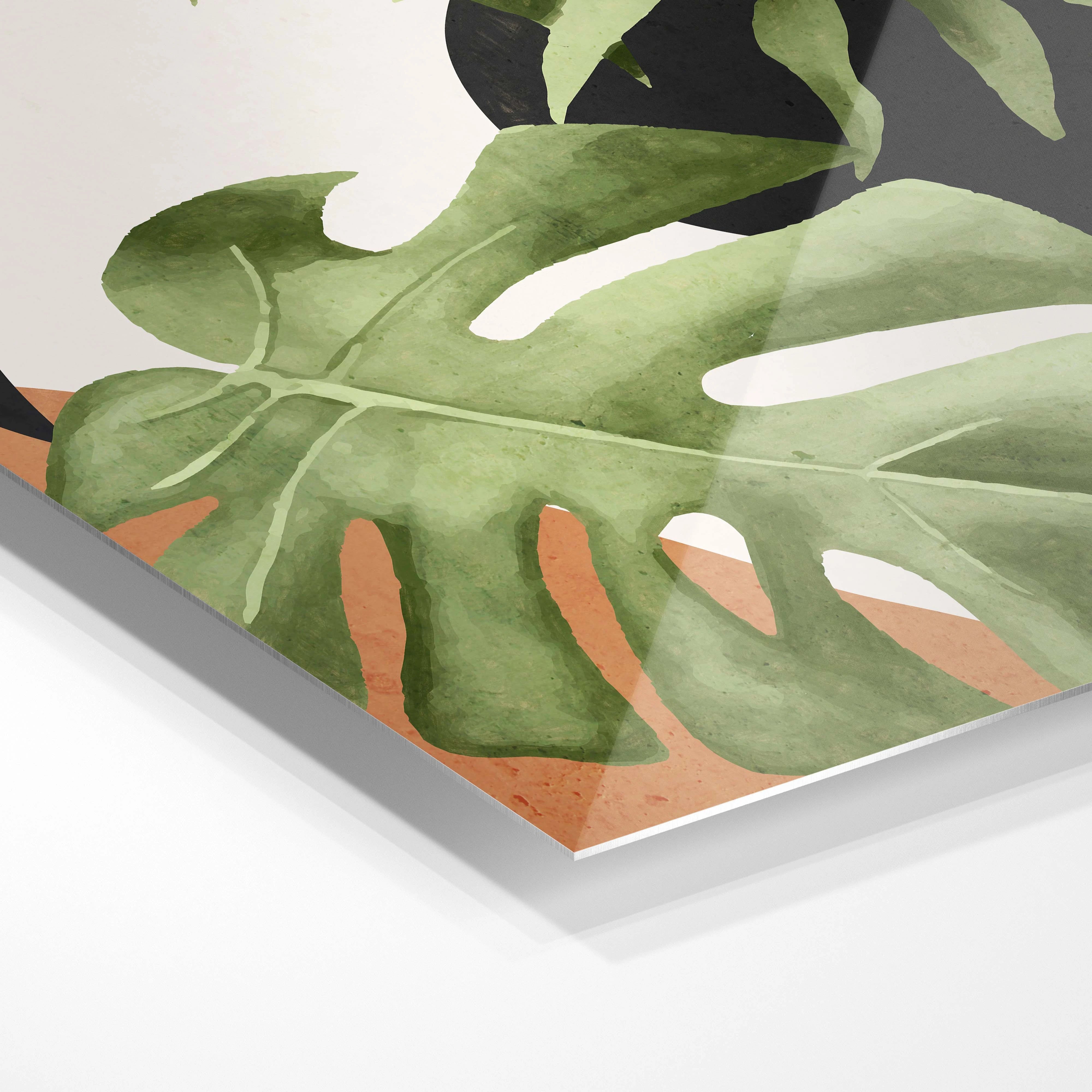 Tropical leaves