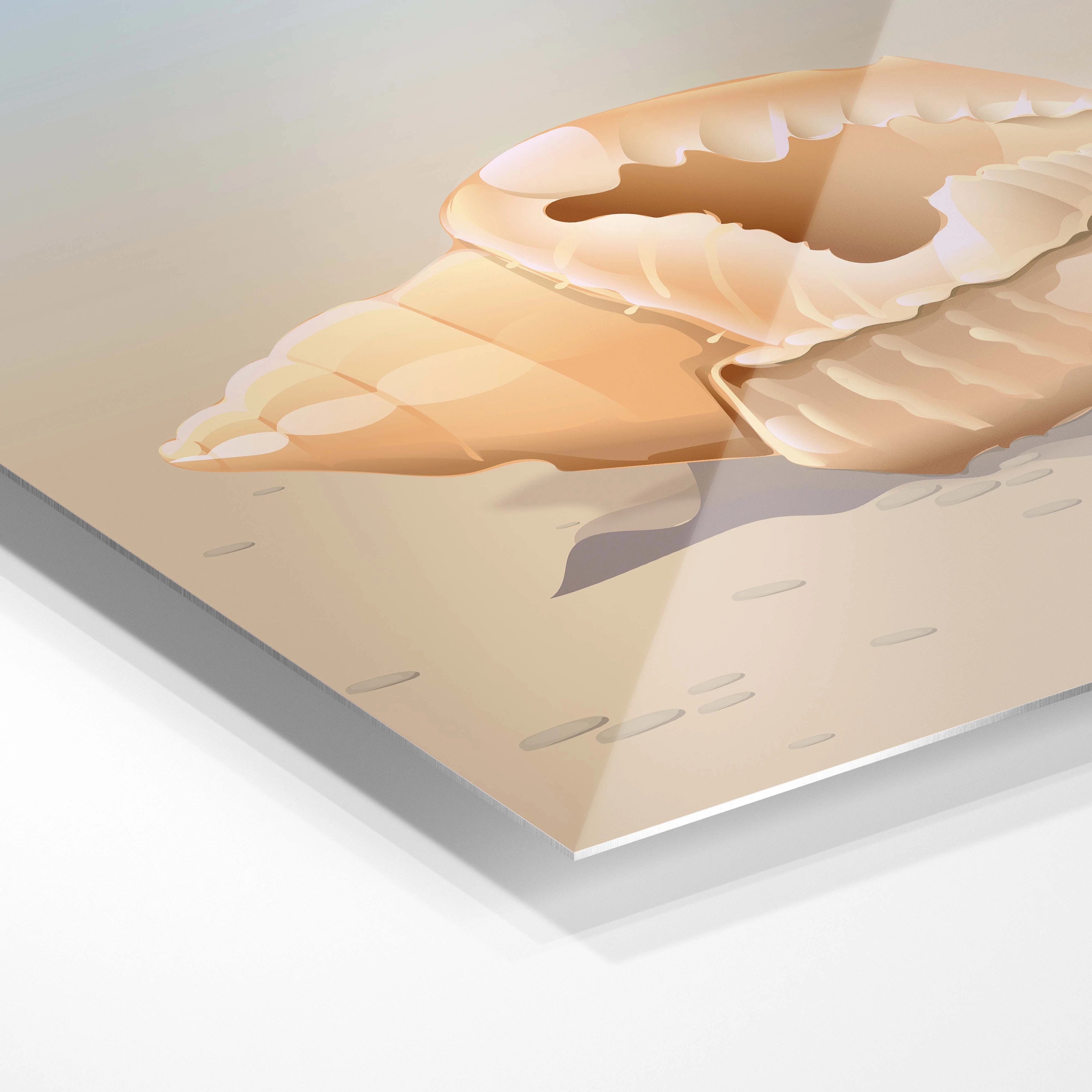 Simple seashell