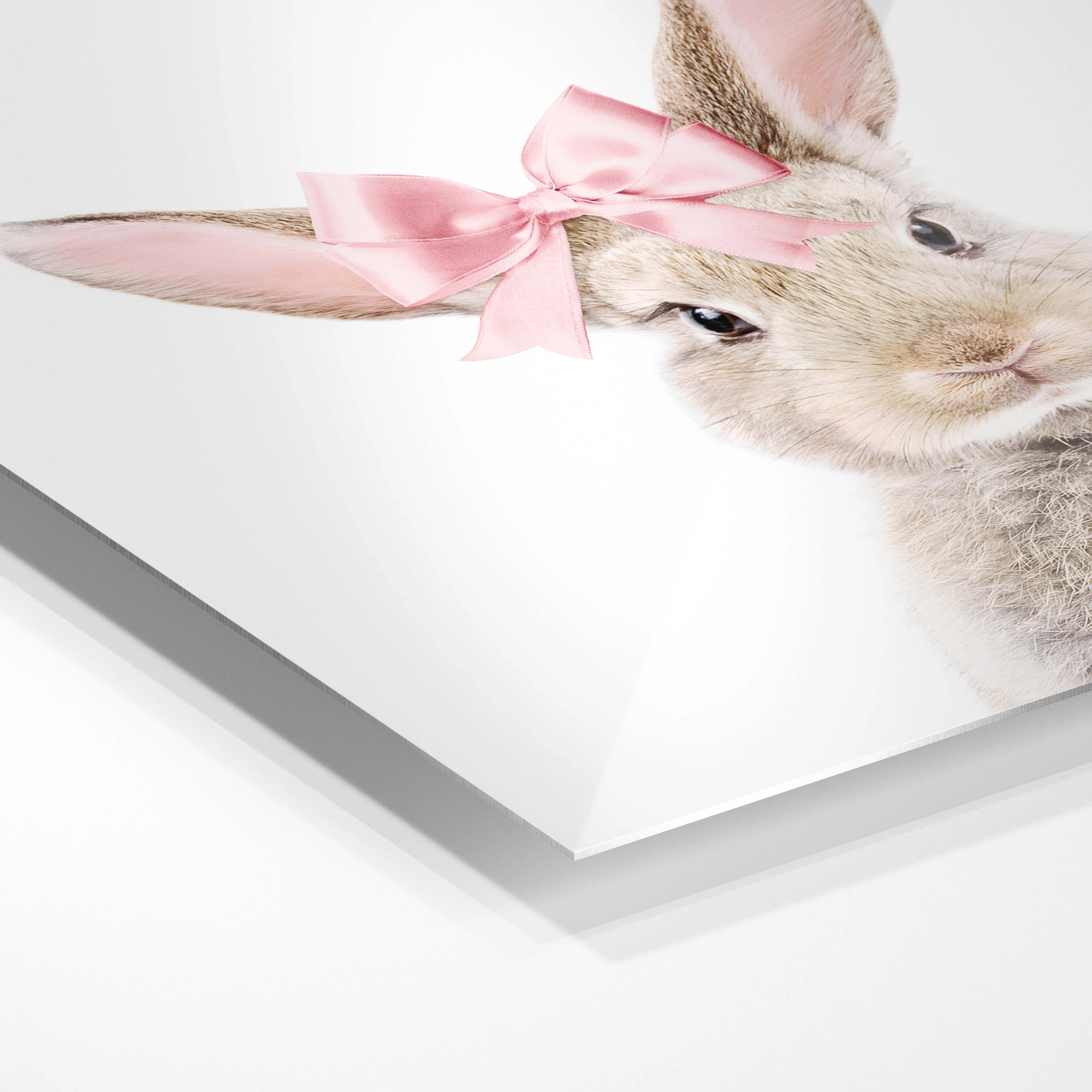 Pretty bunny