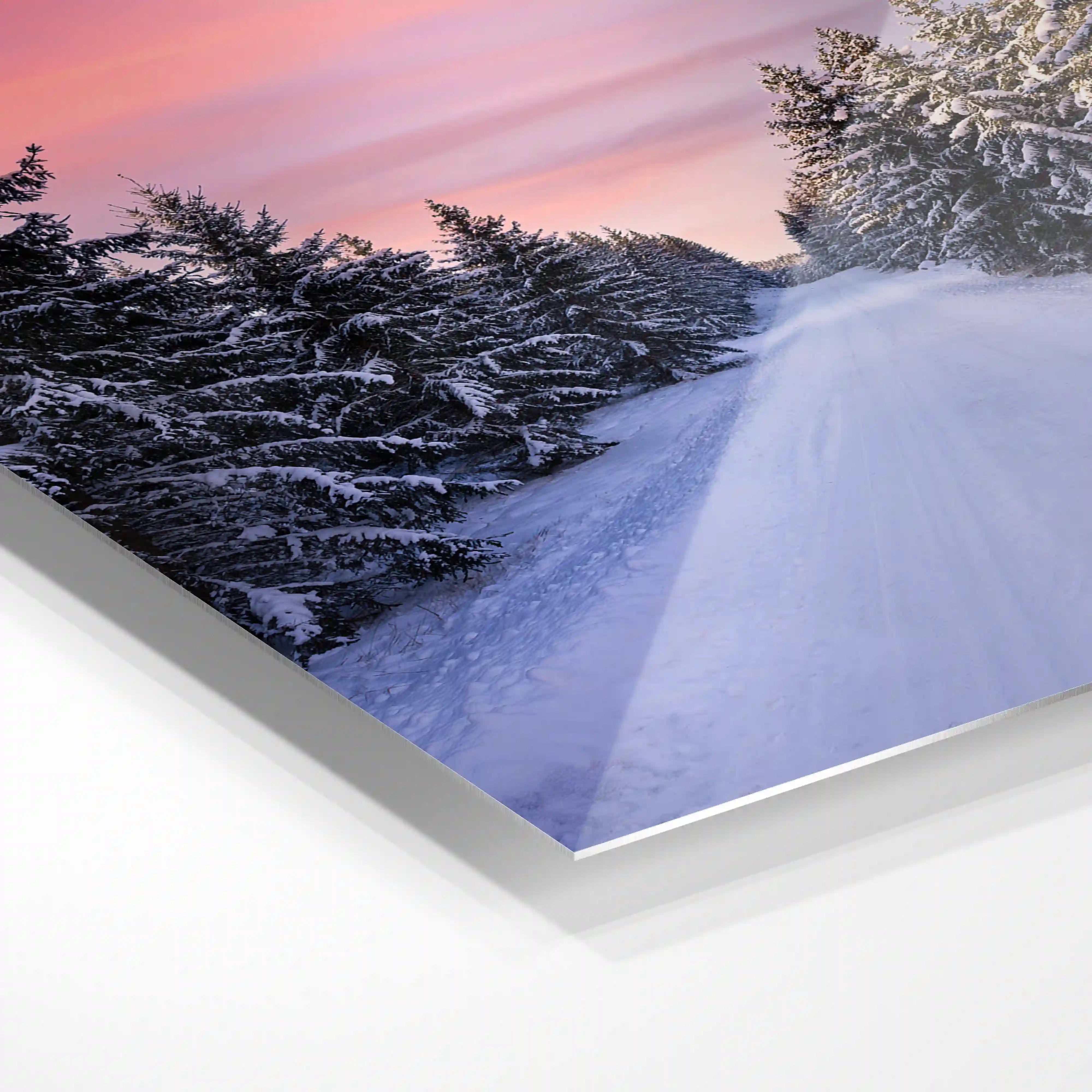 Winter wonderland