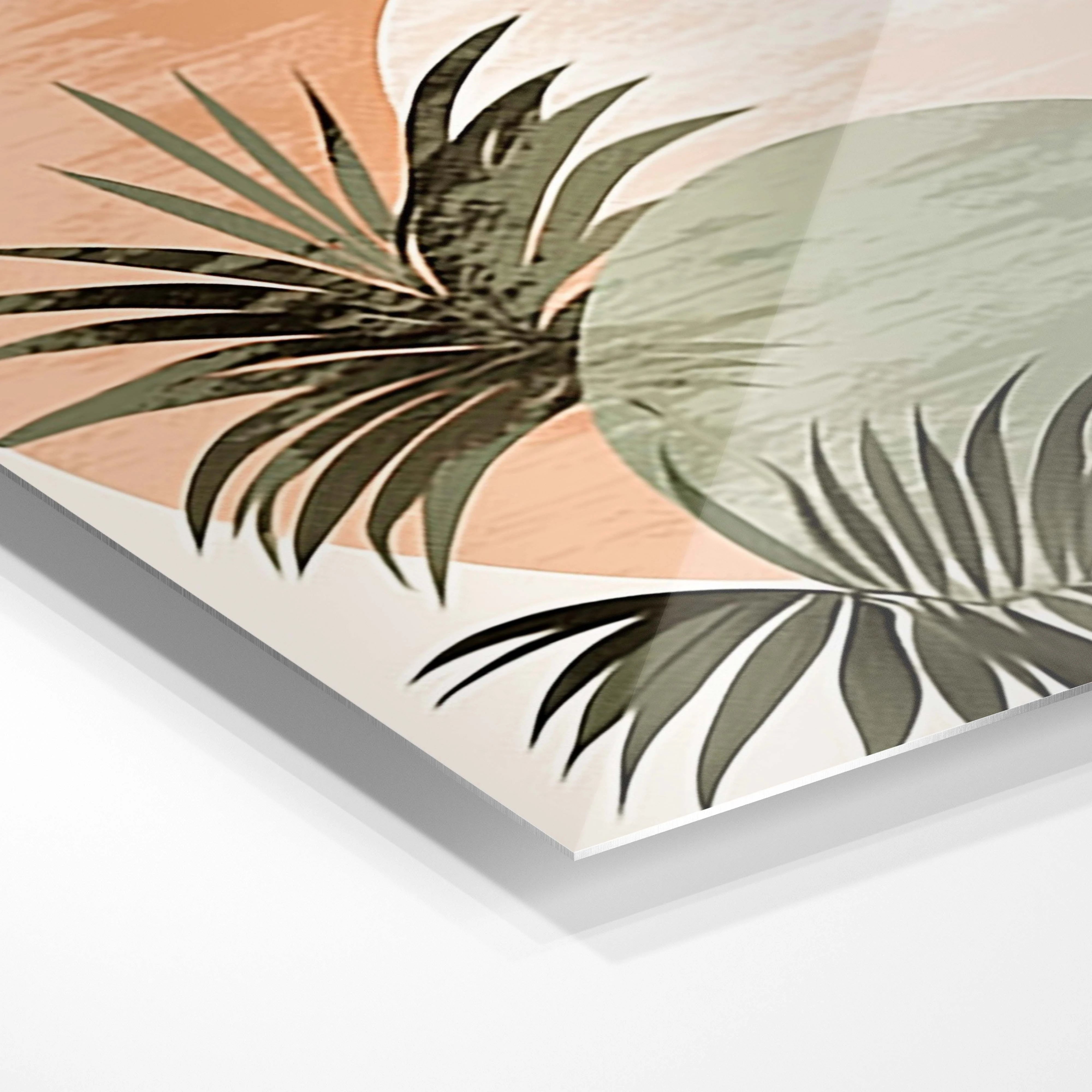 Sunset Ferns