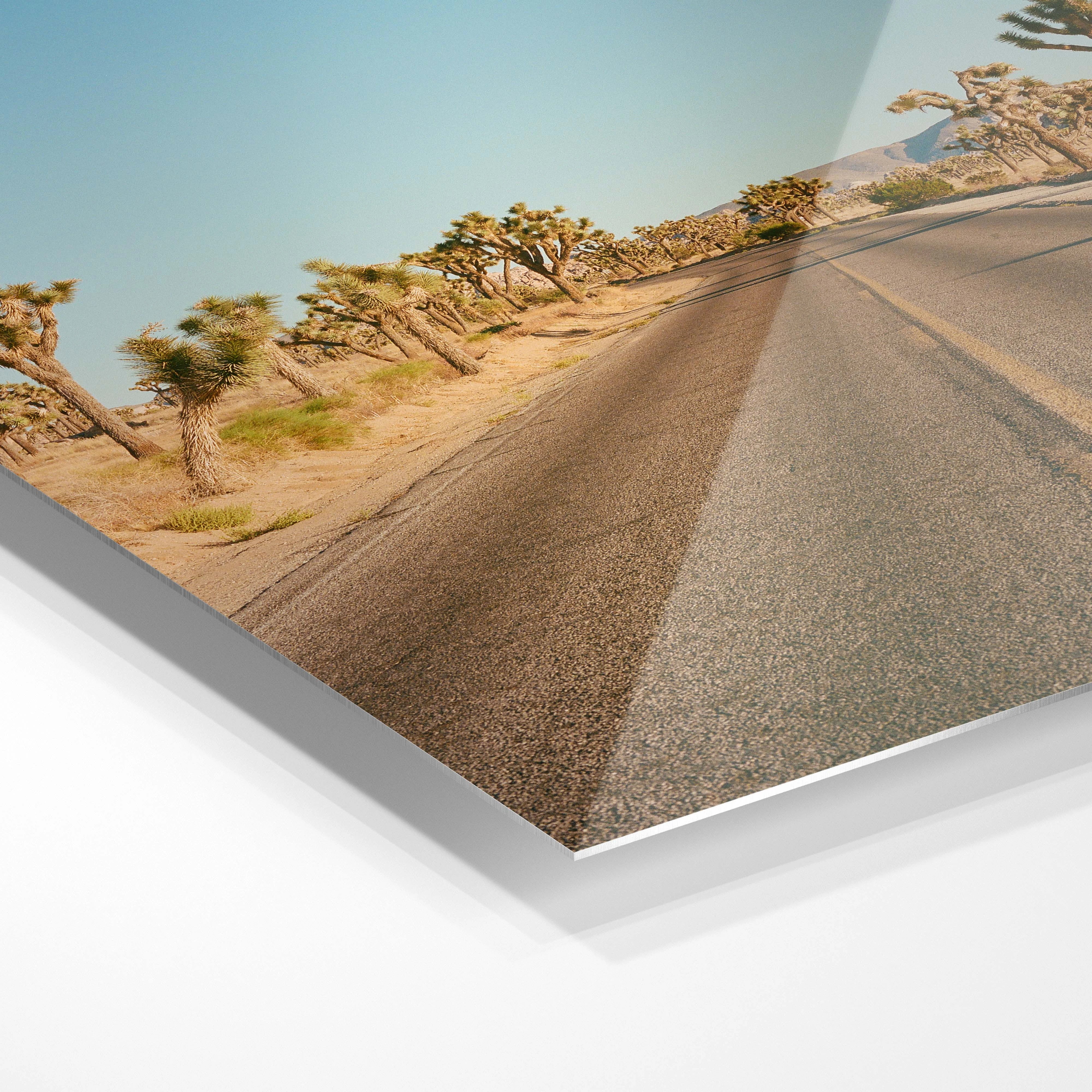 Joshua Tree Road