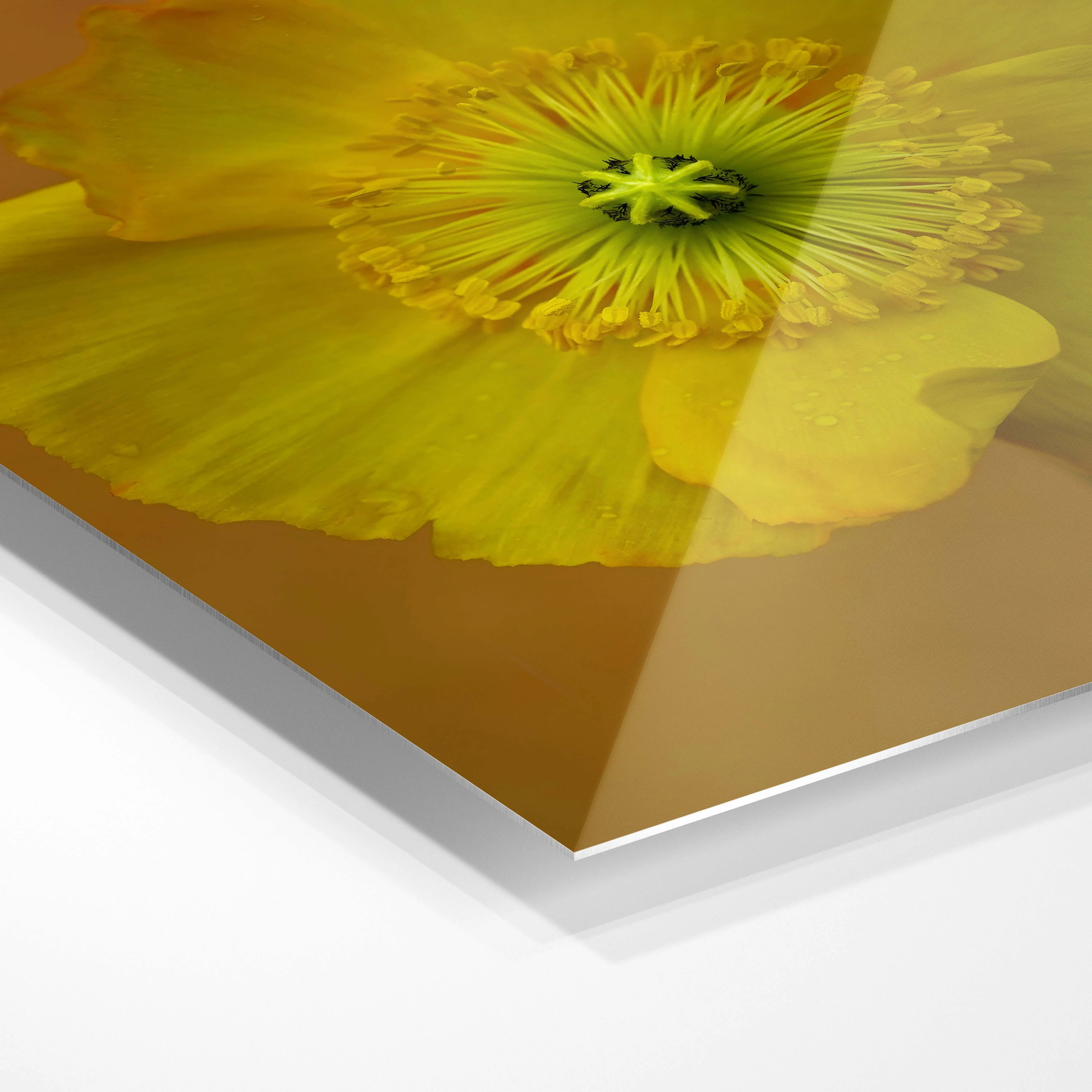 Yellow flower