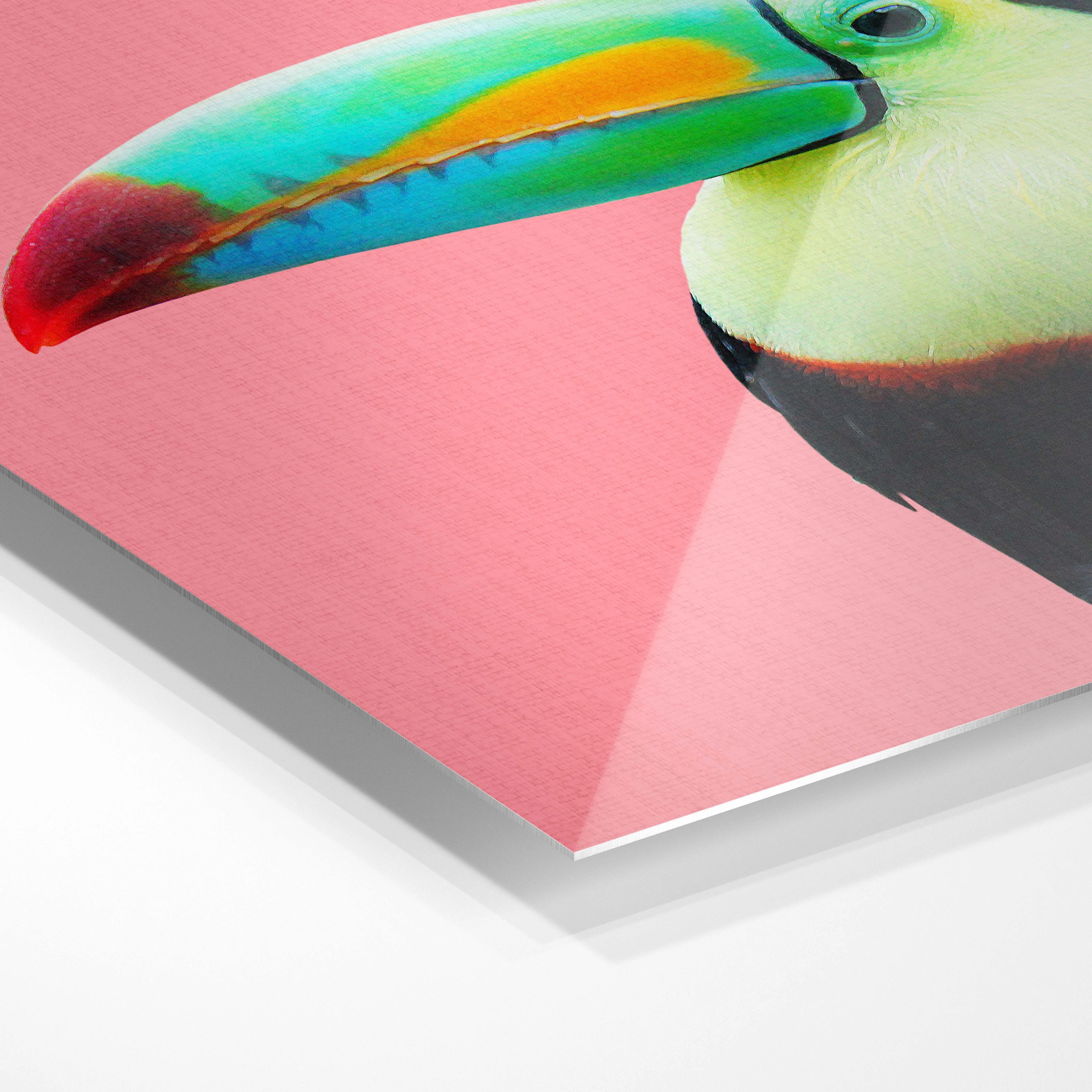Colourful Toucan