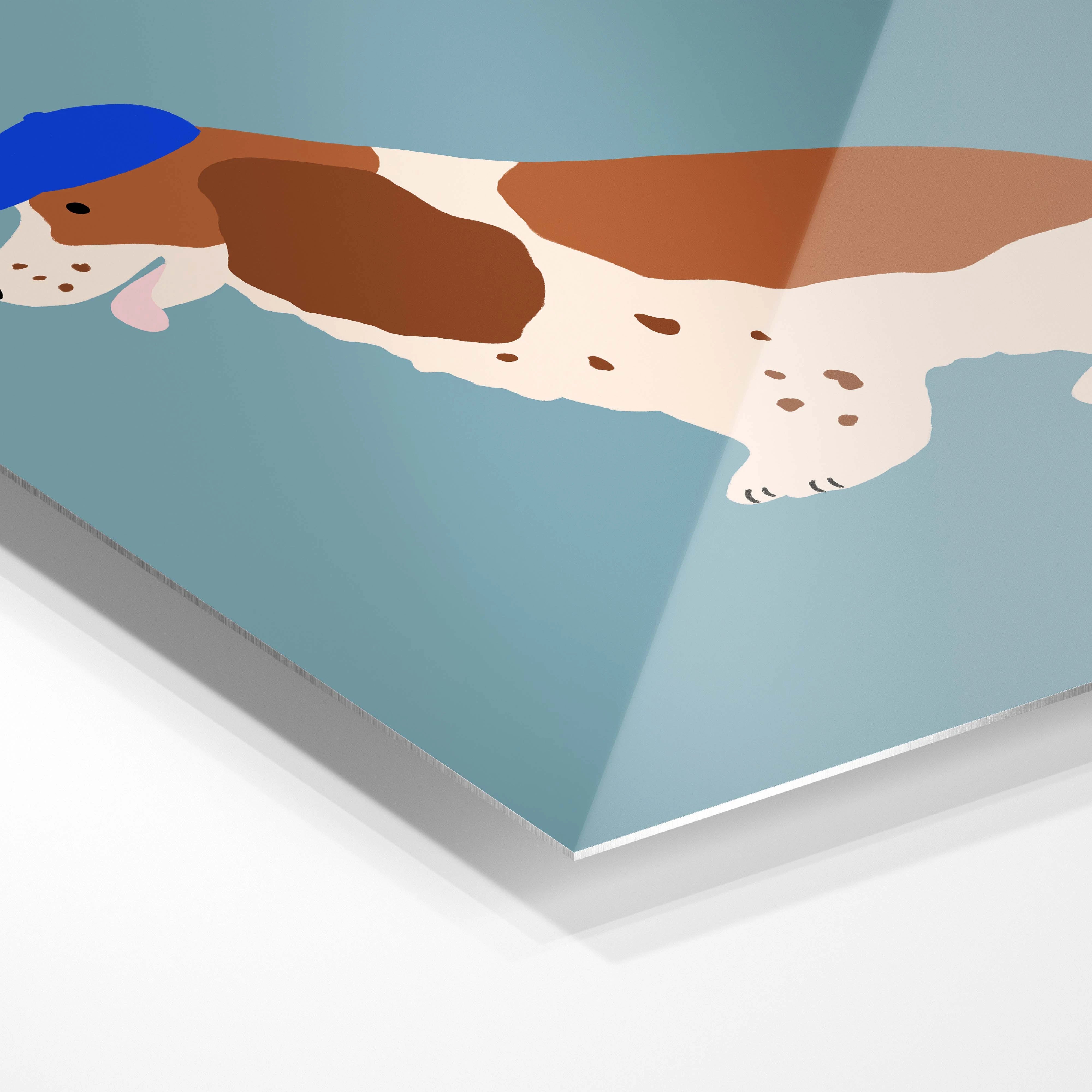 Cool Cocker Spaniel