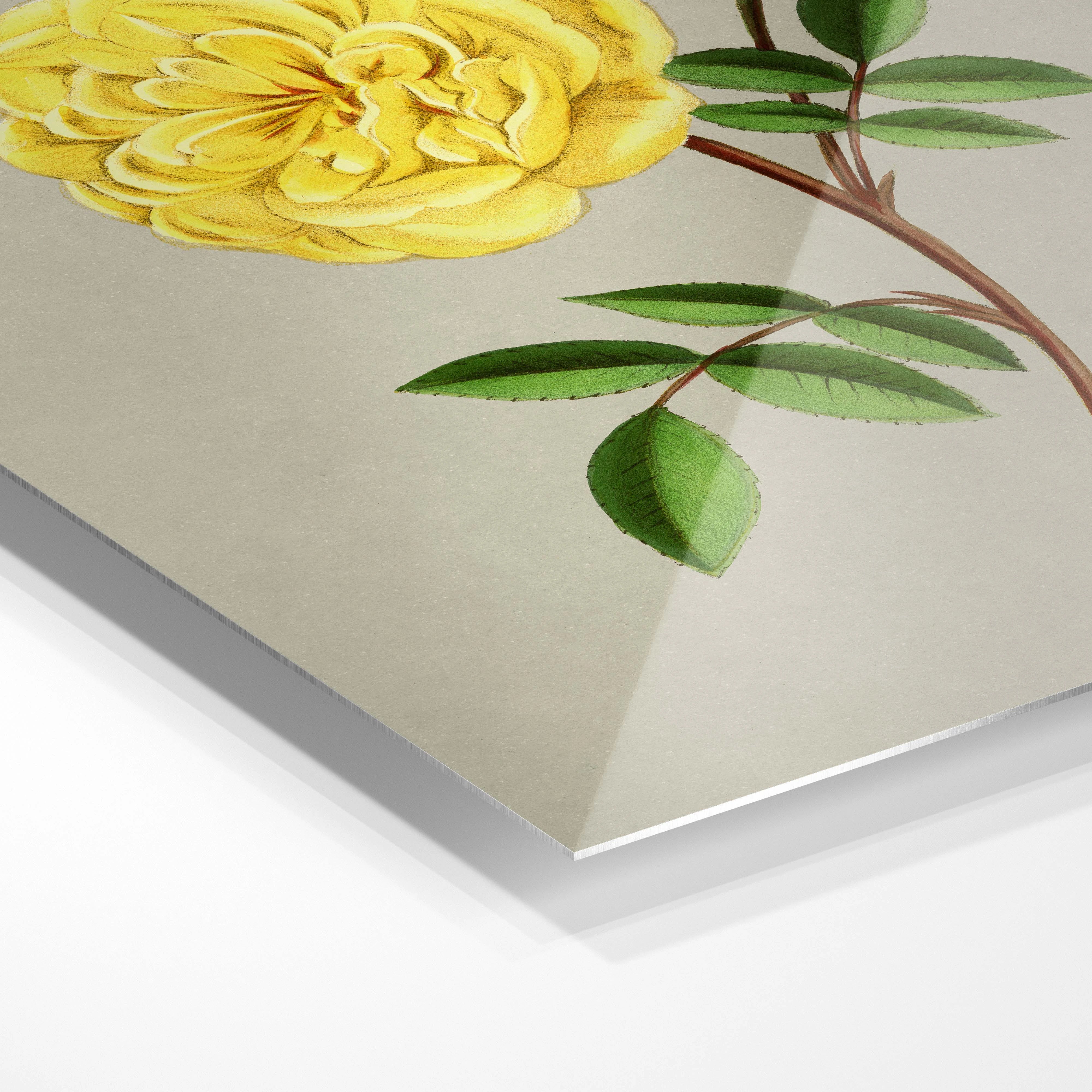 Simple flower