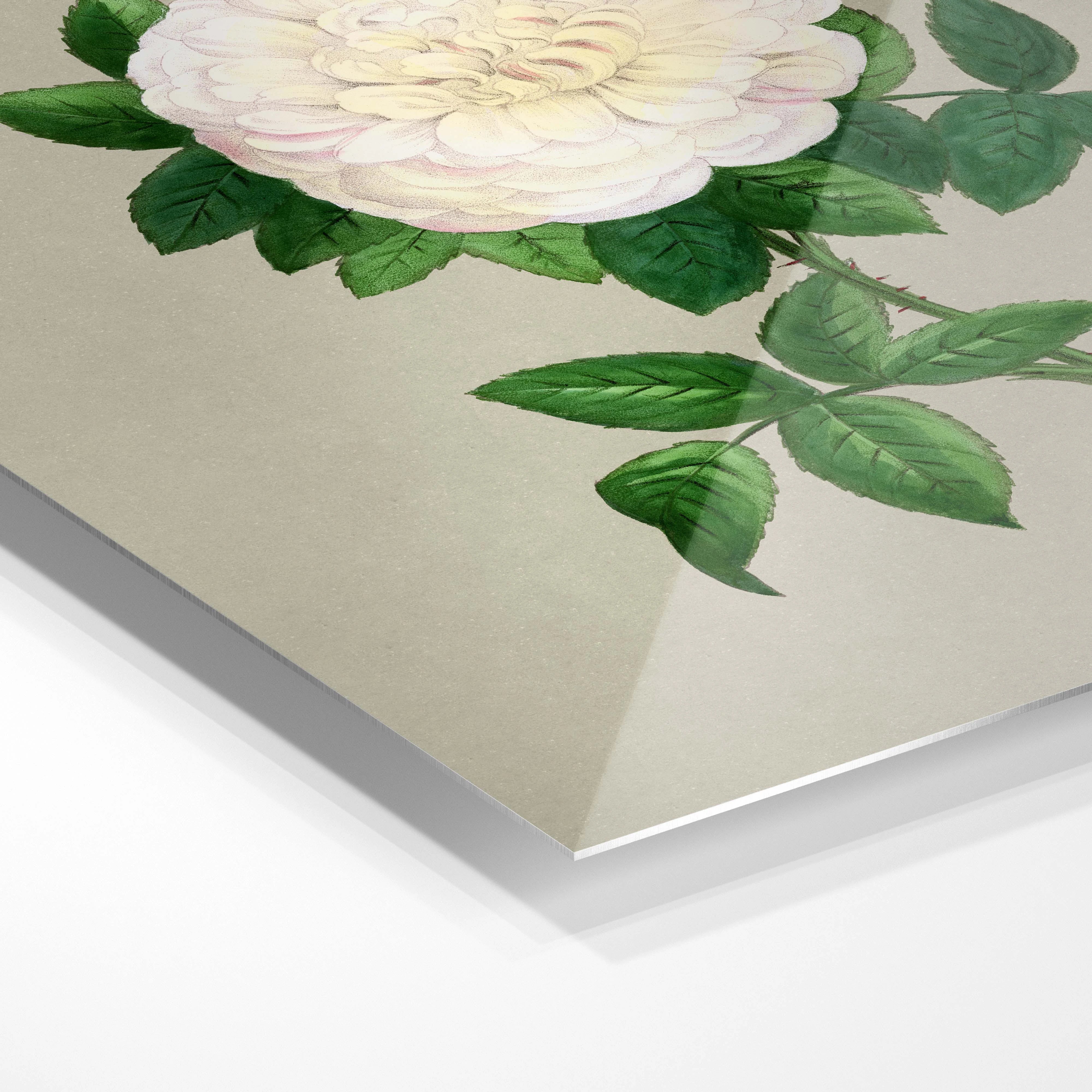 Simple flower