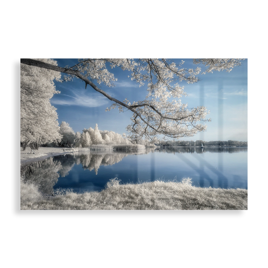 Smukt vinterlandskab