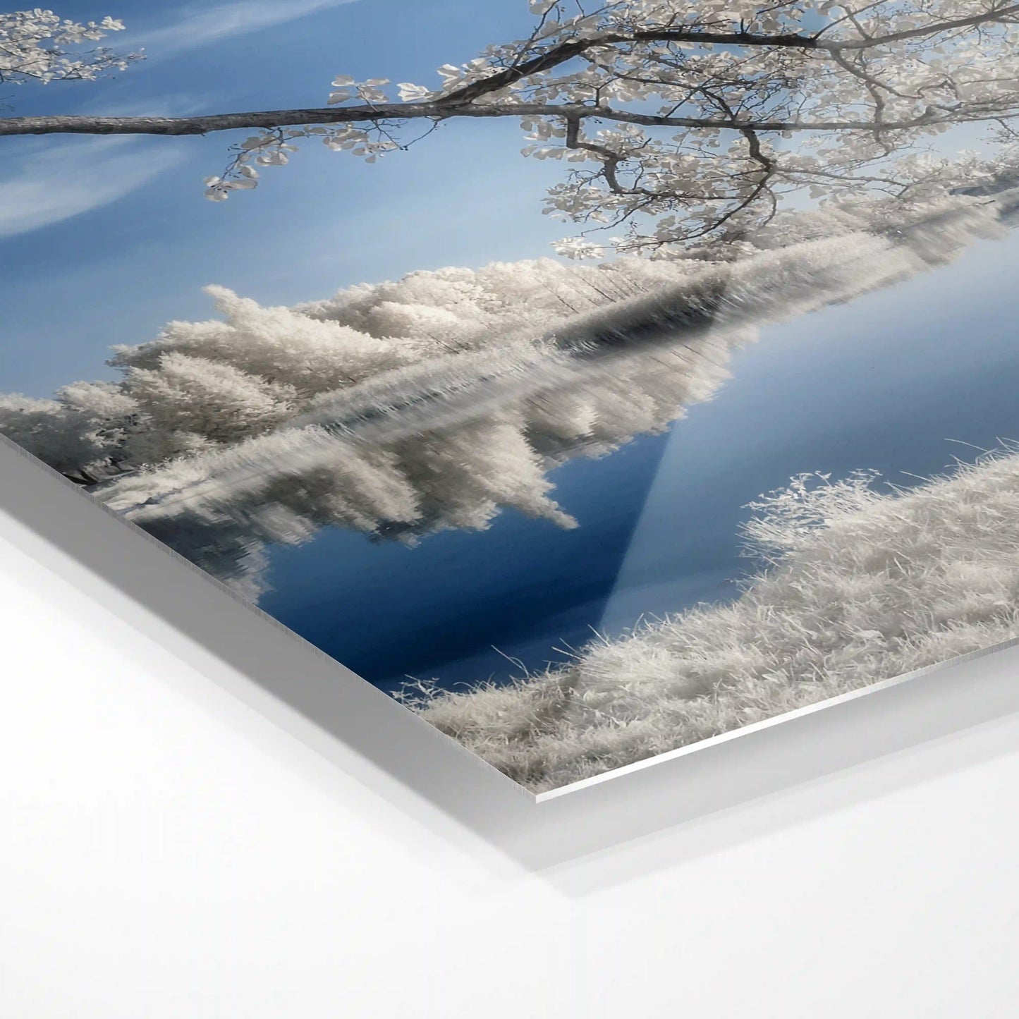 Smukt vinterlandskab