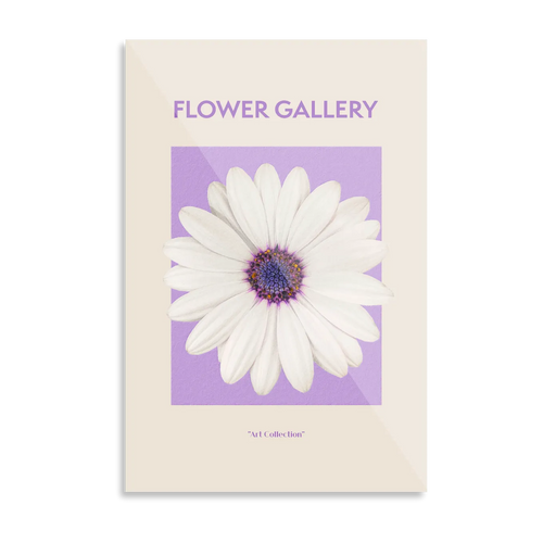 Hvid spansk marguerit