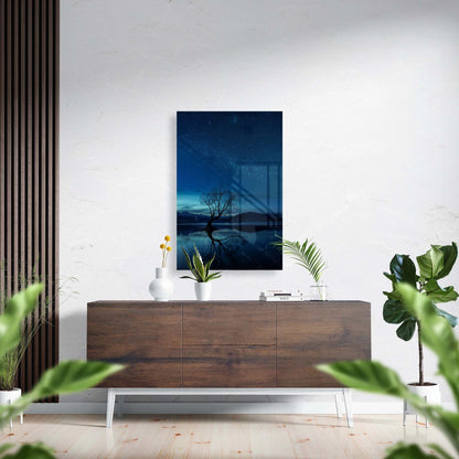 The Wanaka tree, New Zealand