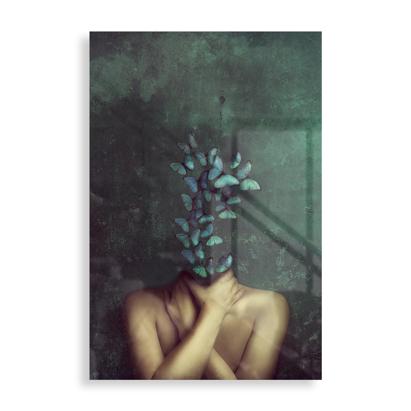 Butterfly head