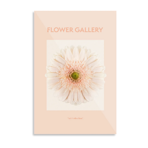 Peach afrikansk gerbera