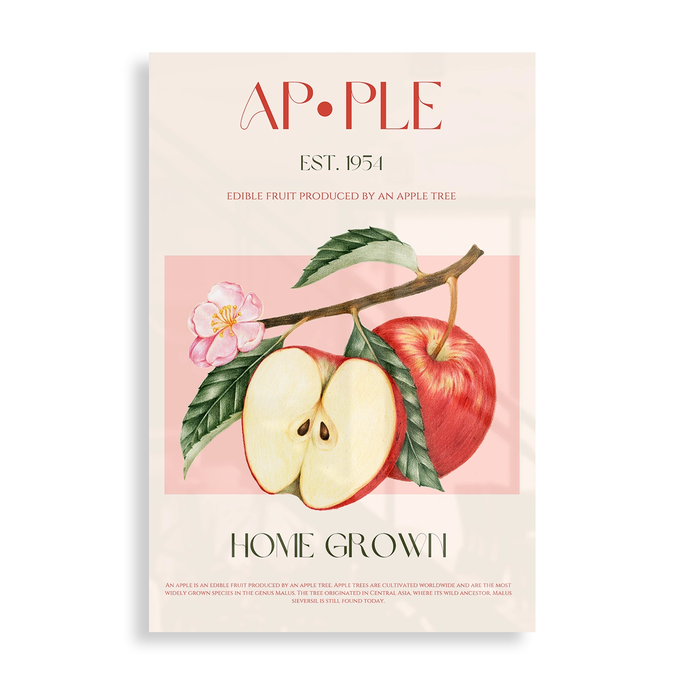 Apple Est. 1954