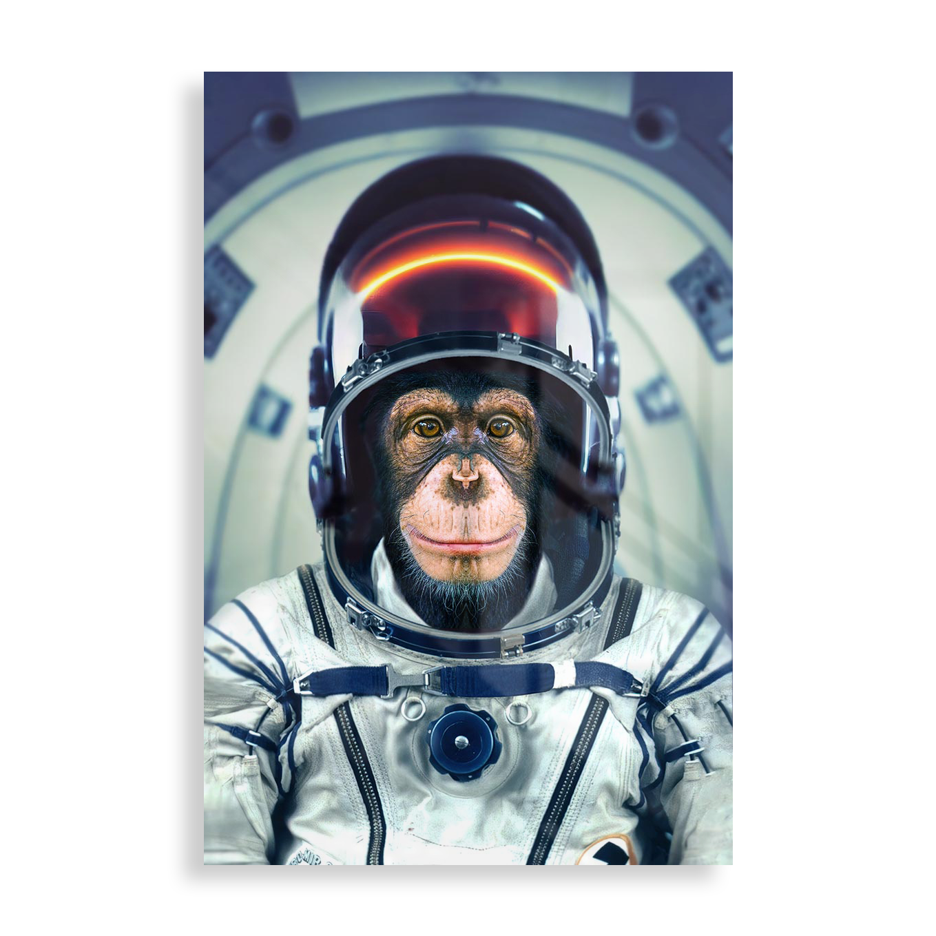 Astronaut abe