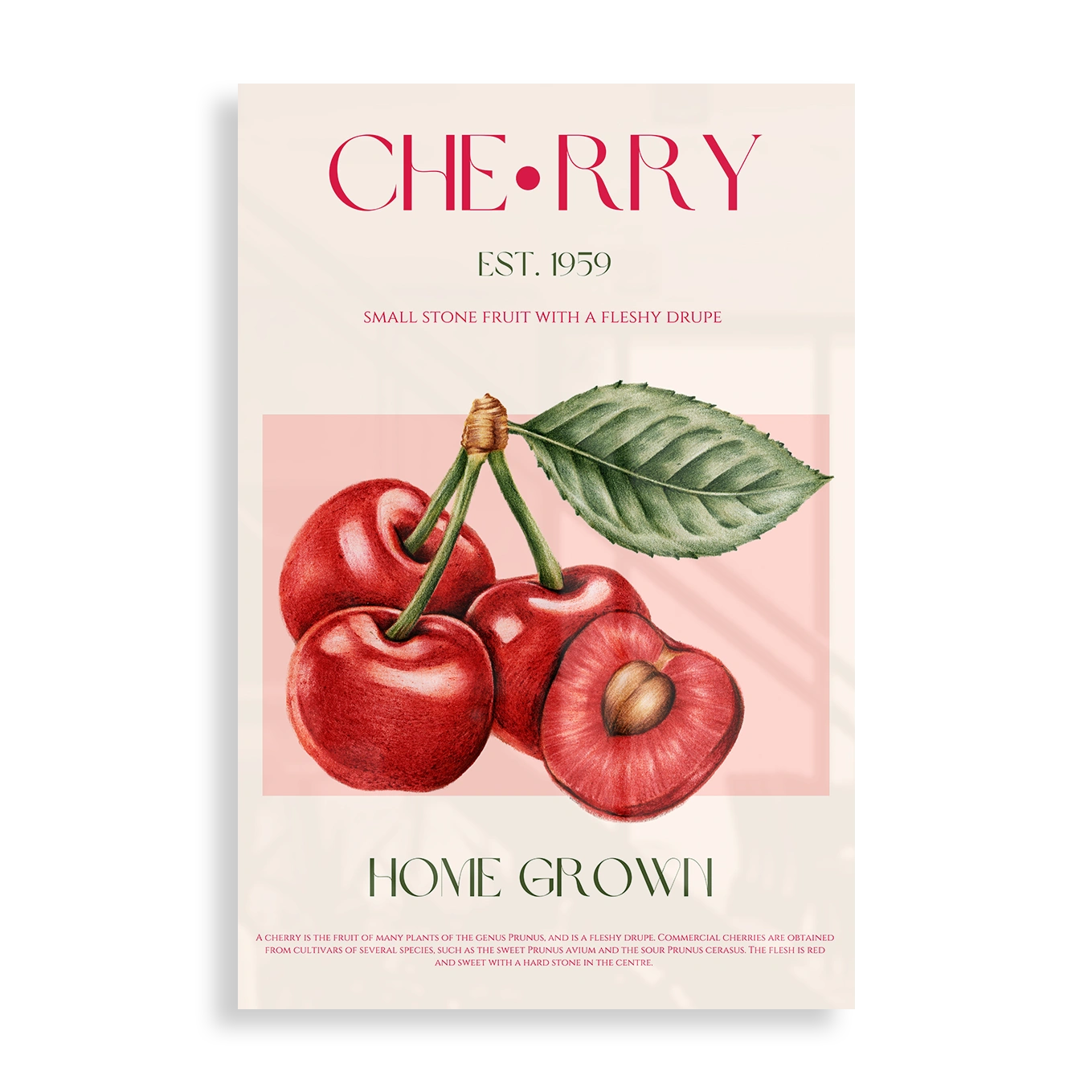 Cherry Est. 1959