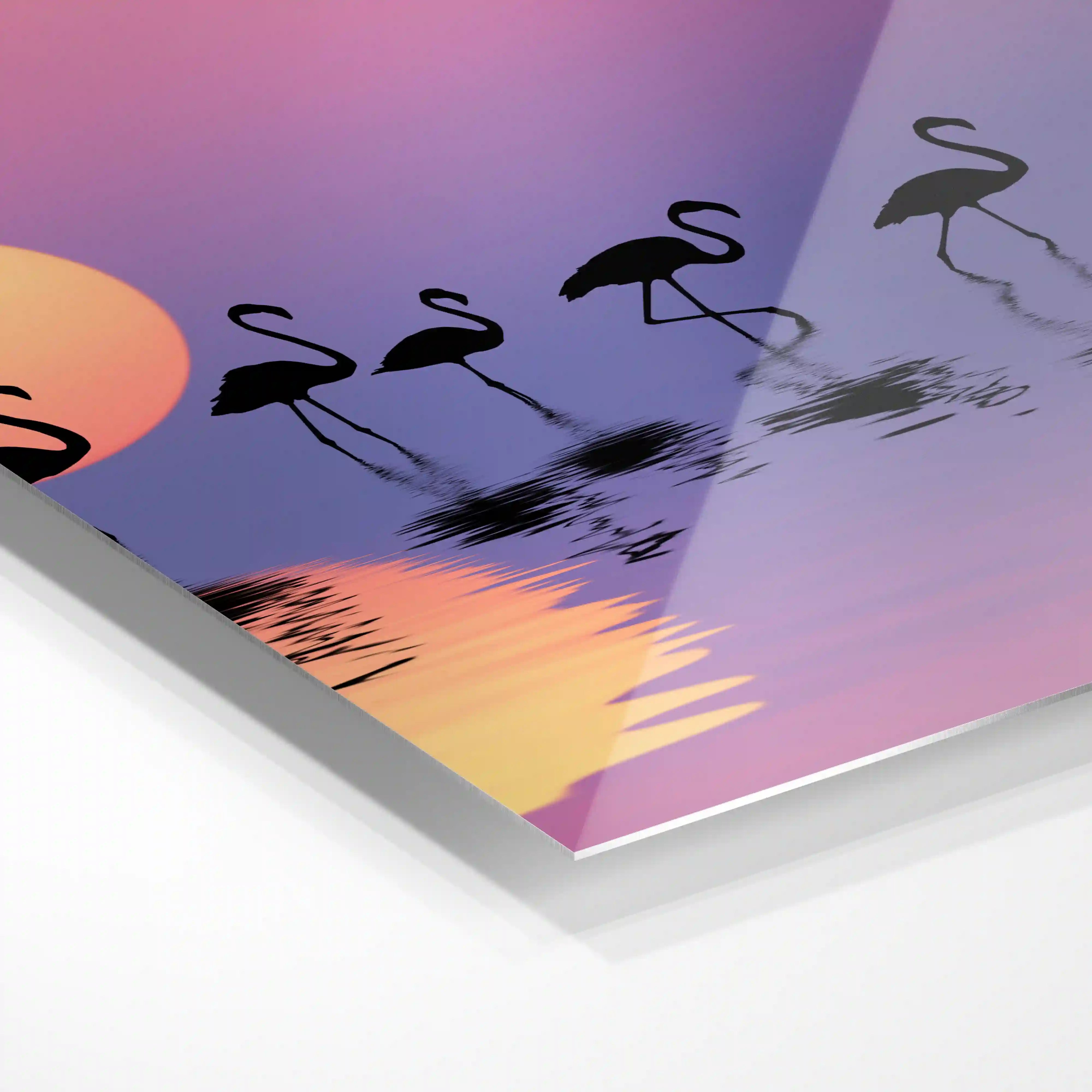 Family of flamingos