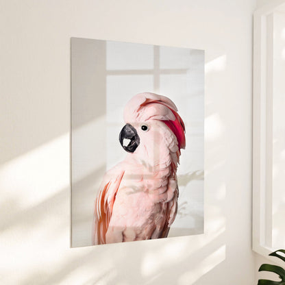 Pink Cockatoo