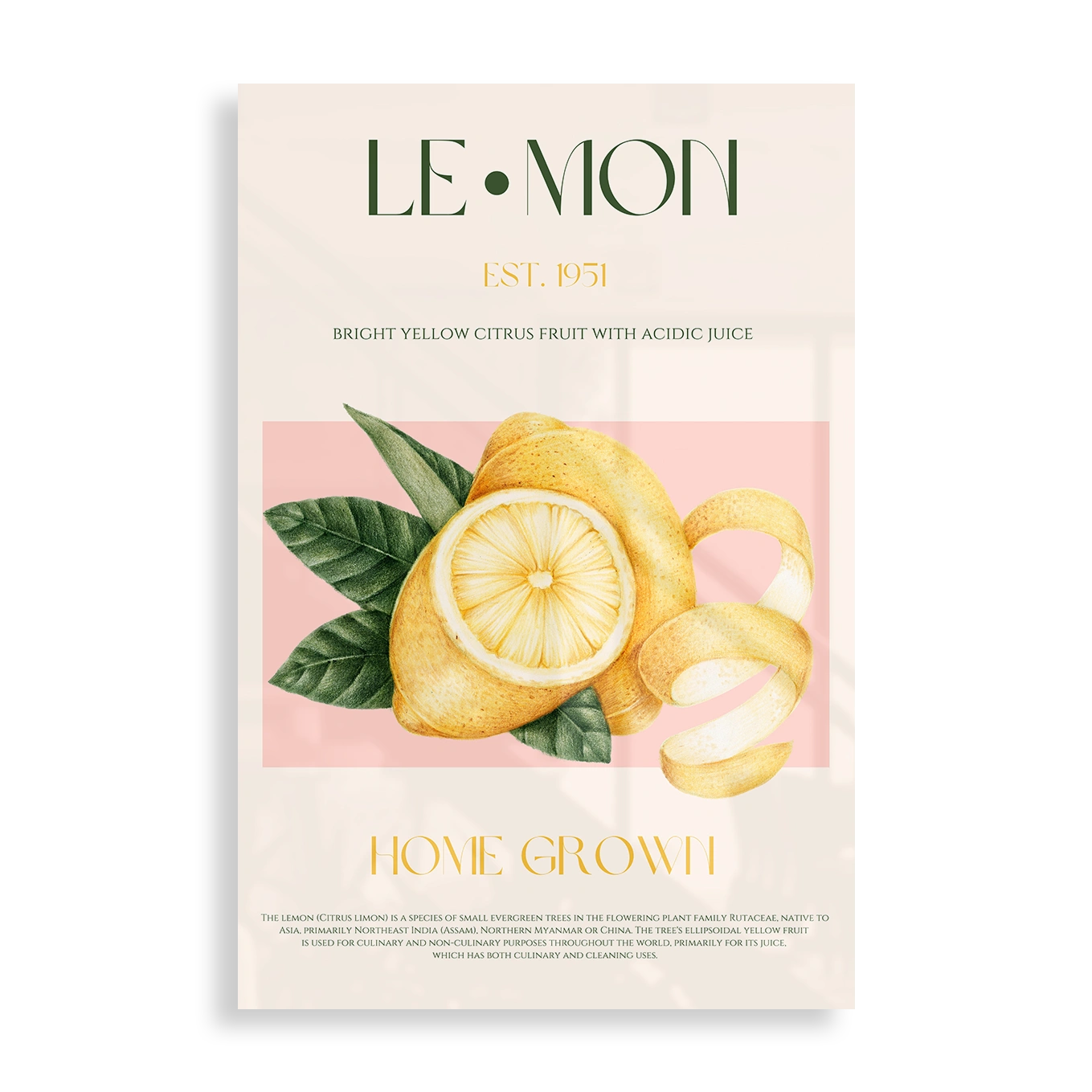 Lemon Est. 1951