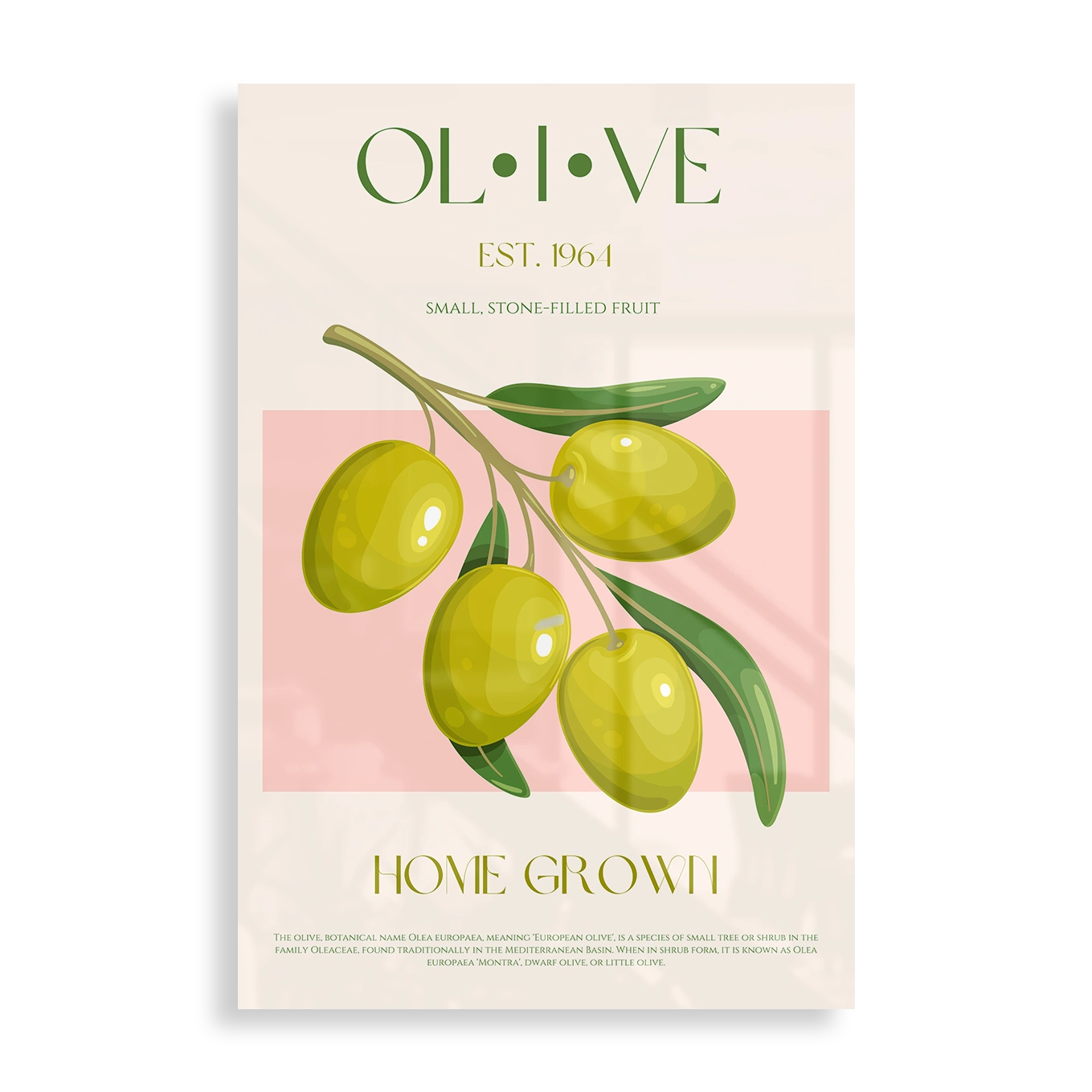 Olive Est. 1964