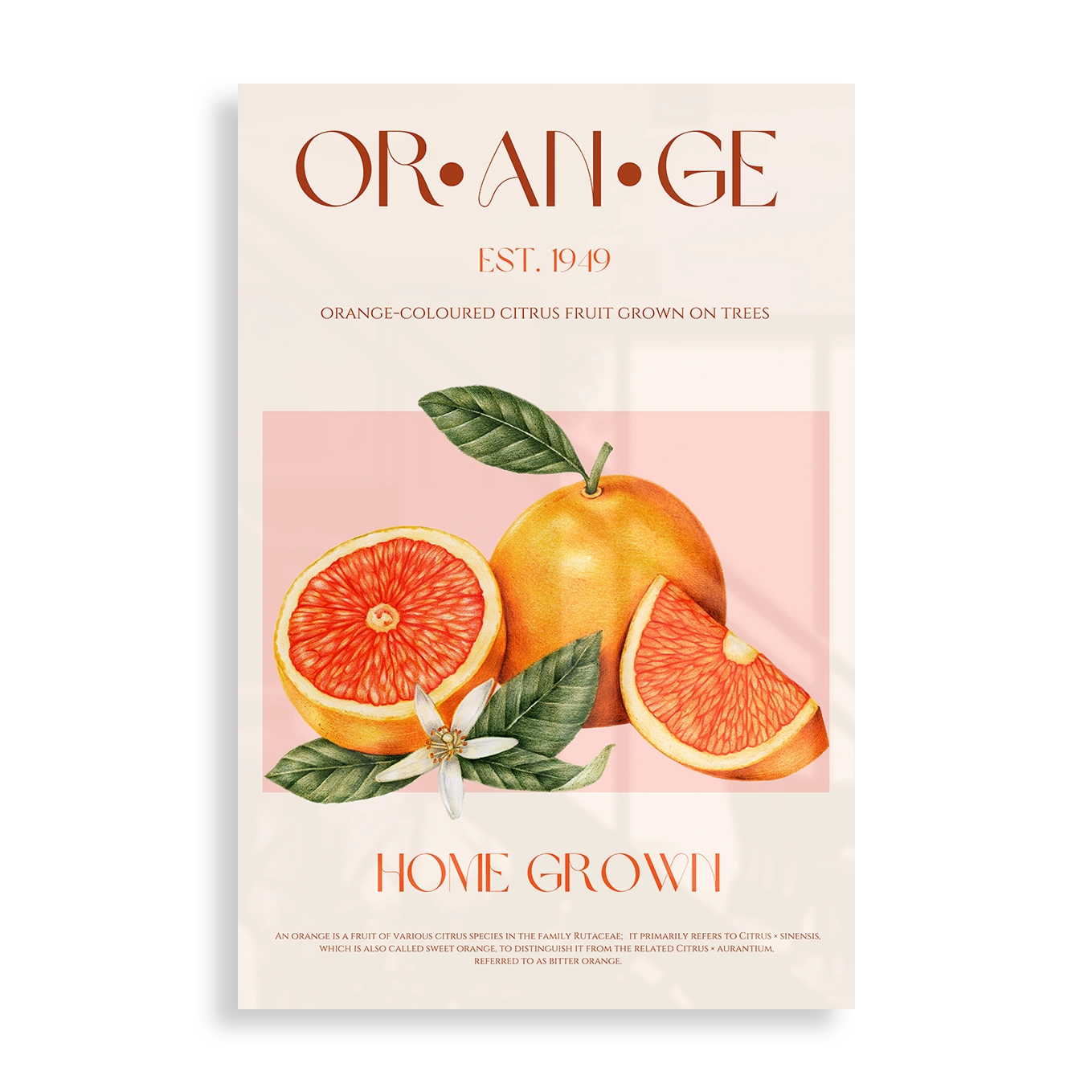 Orange Est. 1949