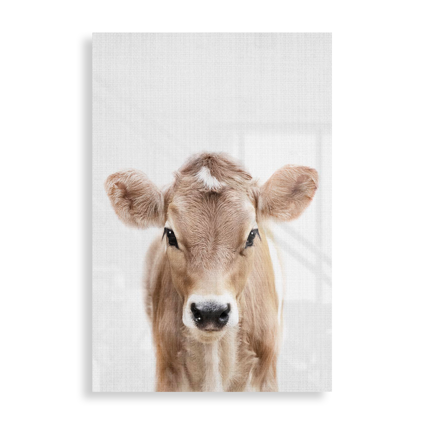 Lille kalv