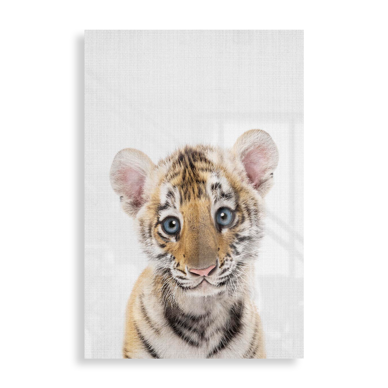Lille tigerunge