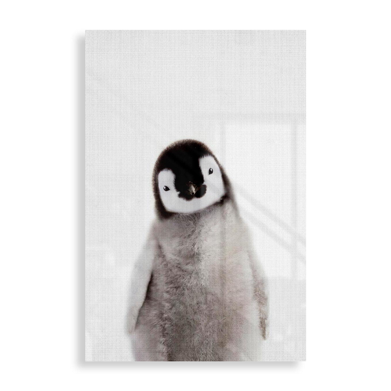Pingvinunge