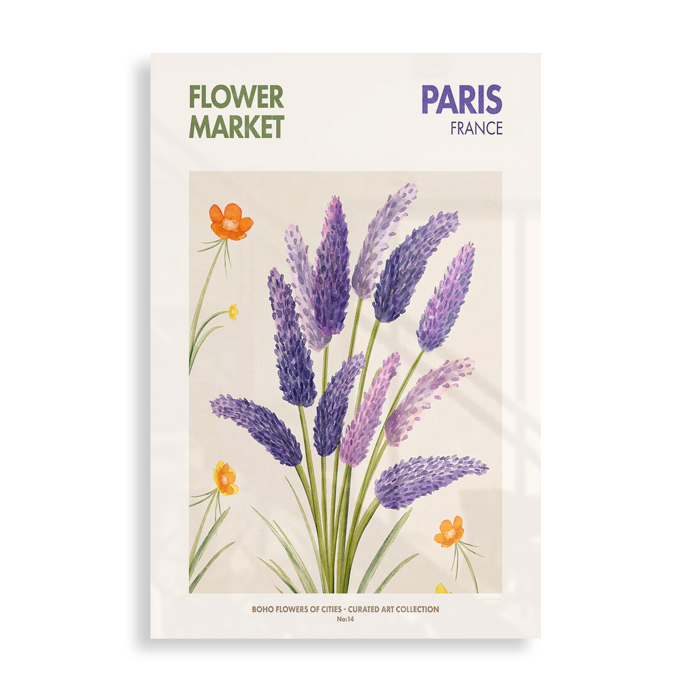 Flower Markert, Paris