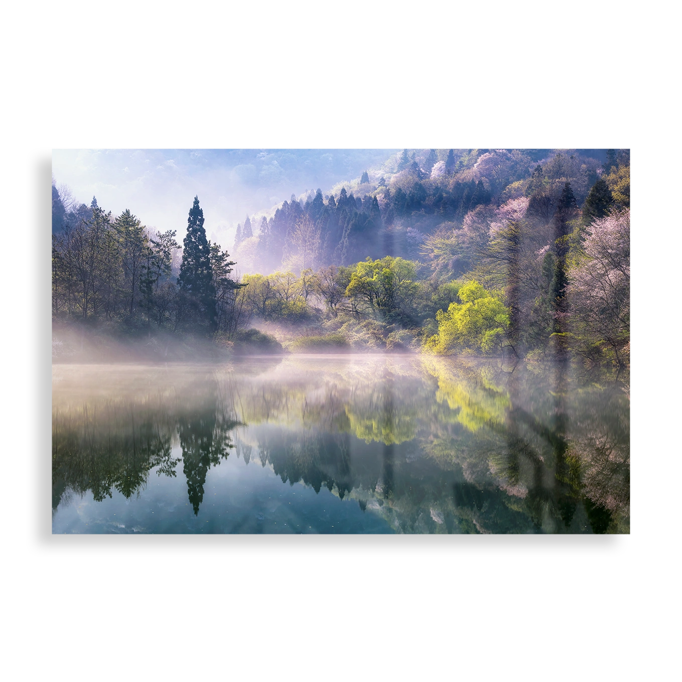 Morning calm