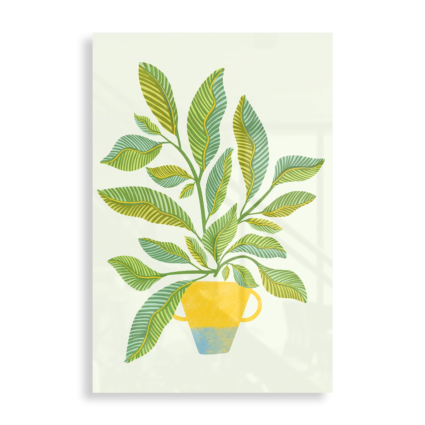 Big plant